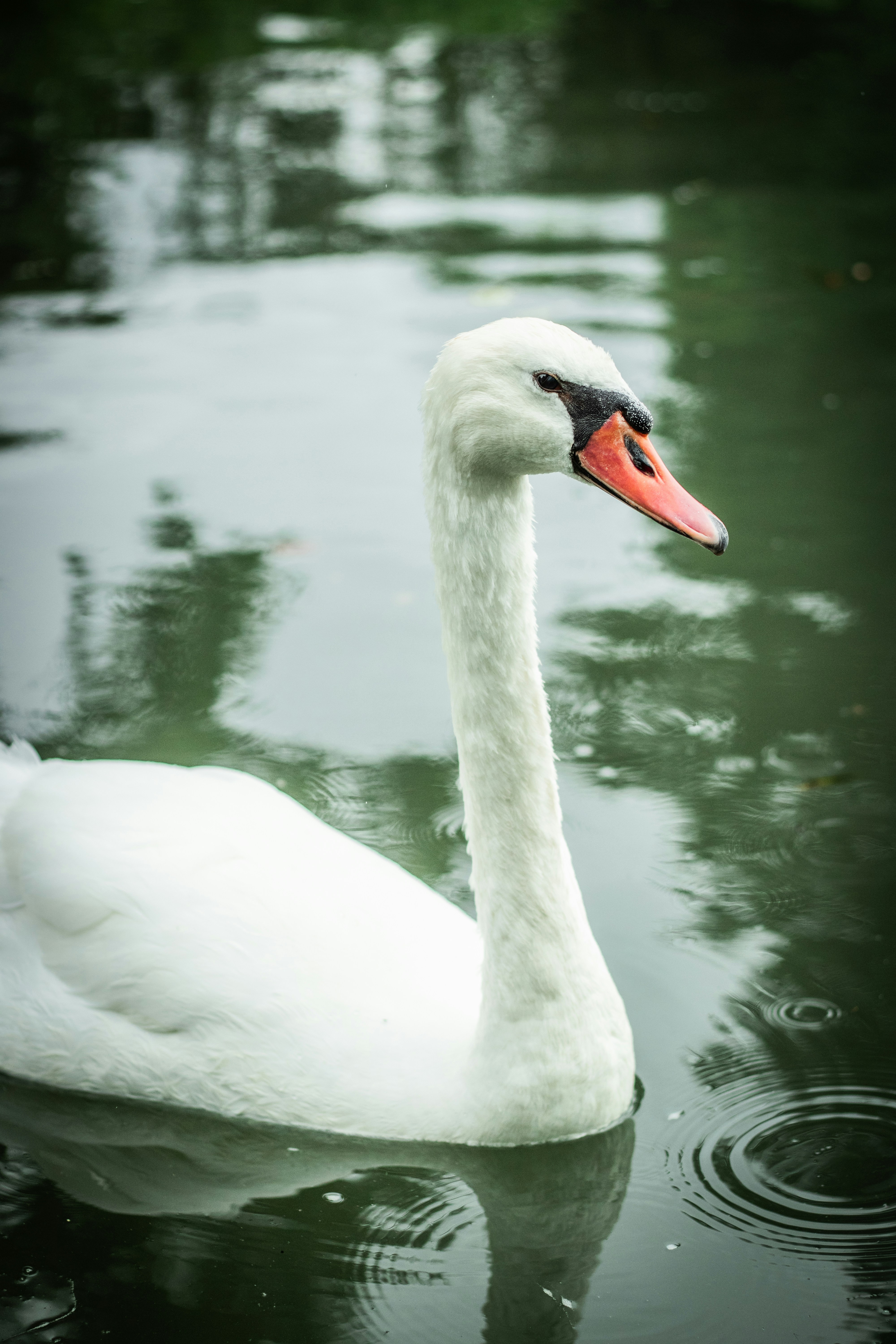 Photo by kattavonben