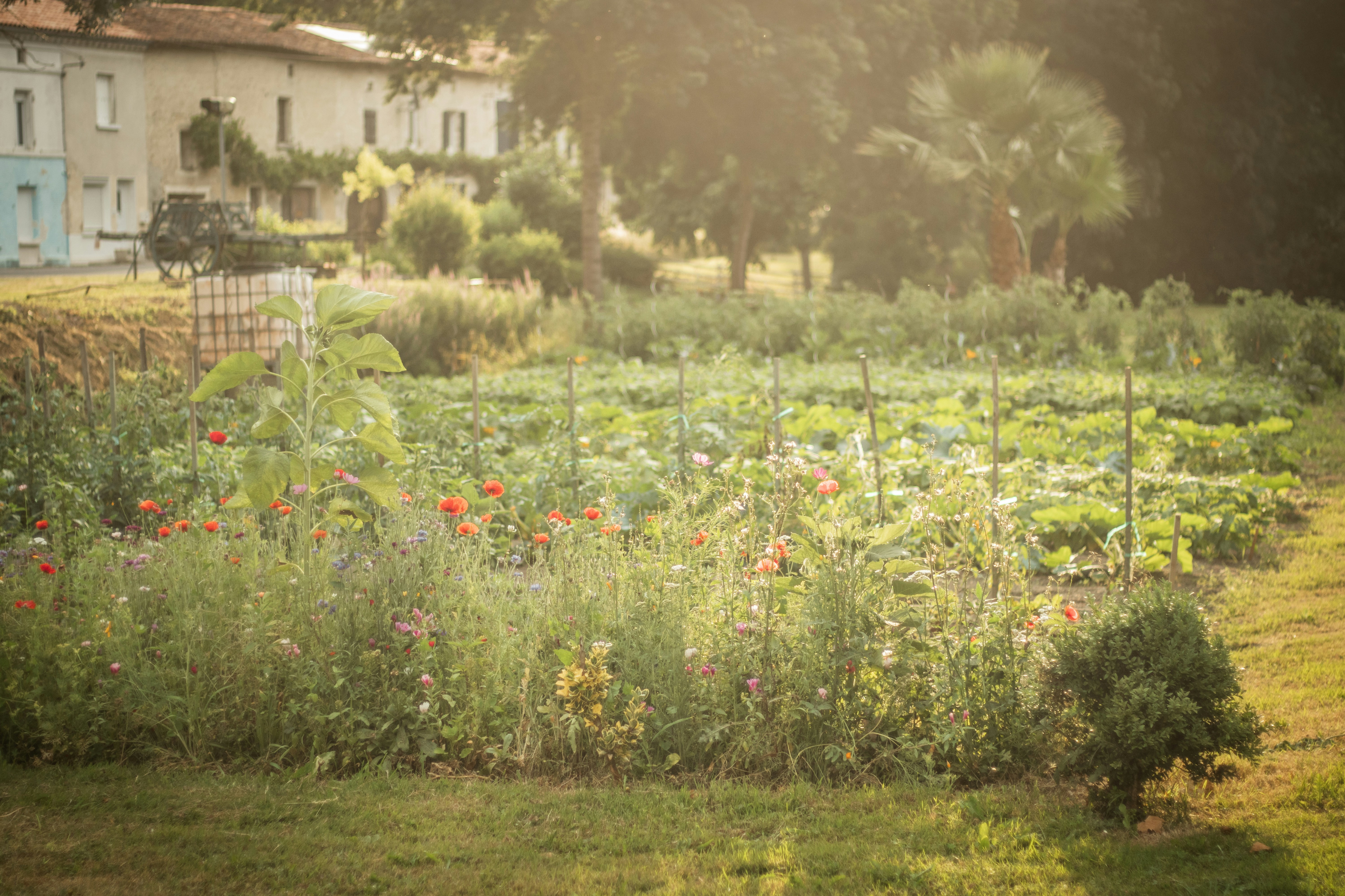 Photo by kattavonben