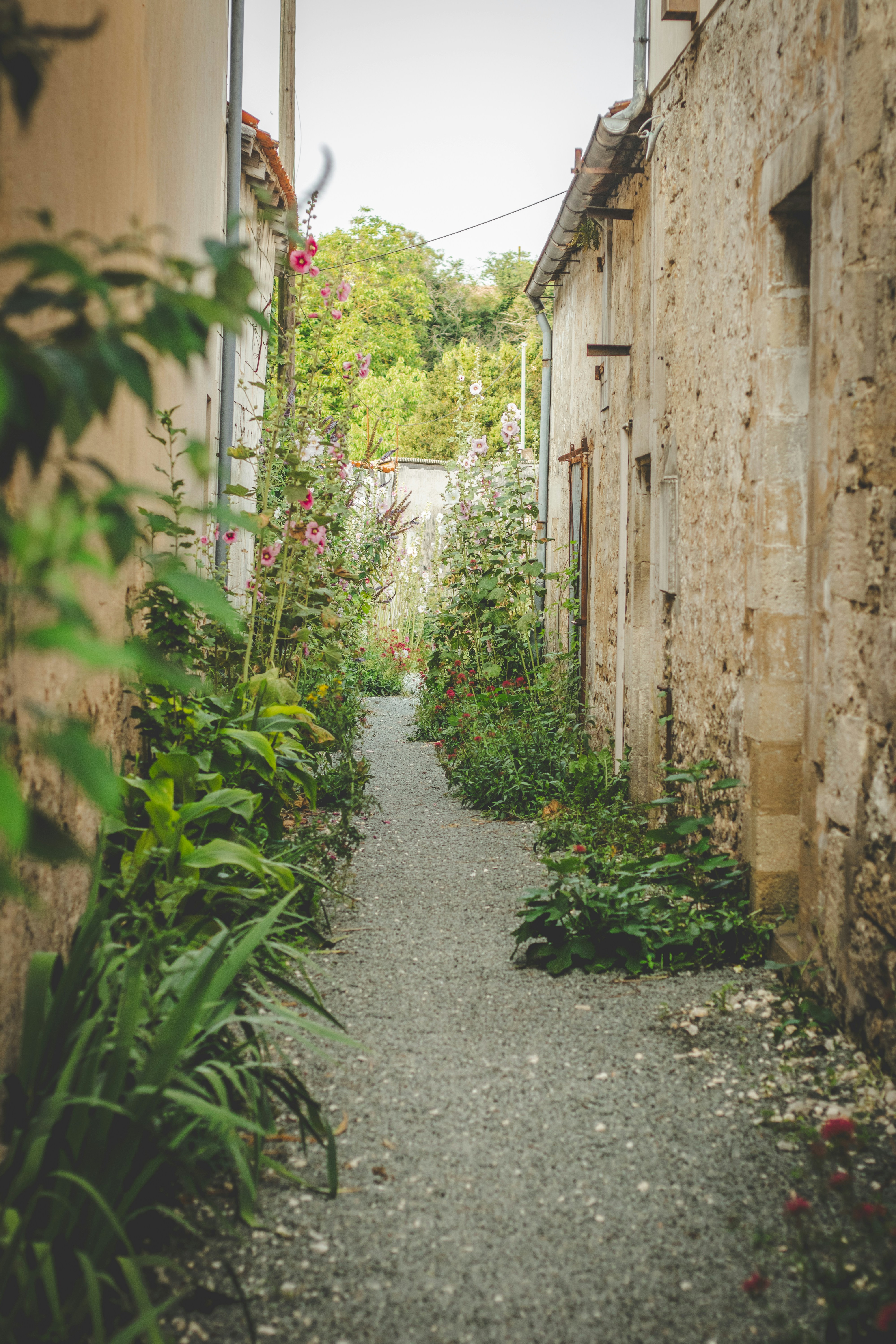 Photo by kattavonben