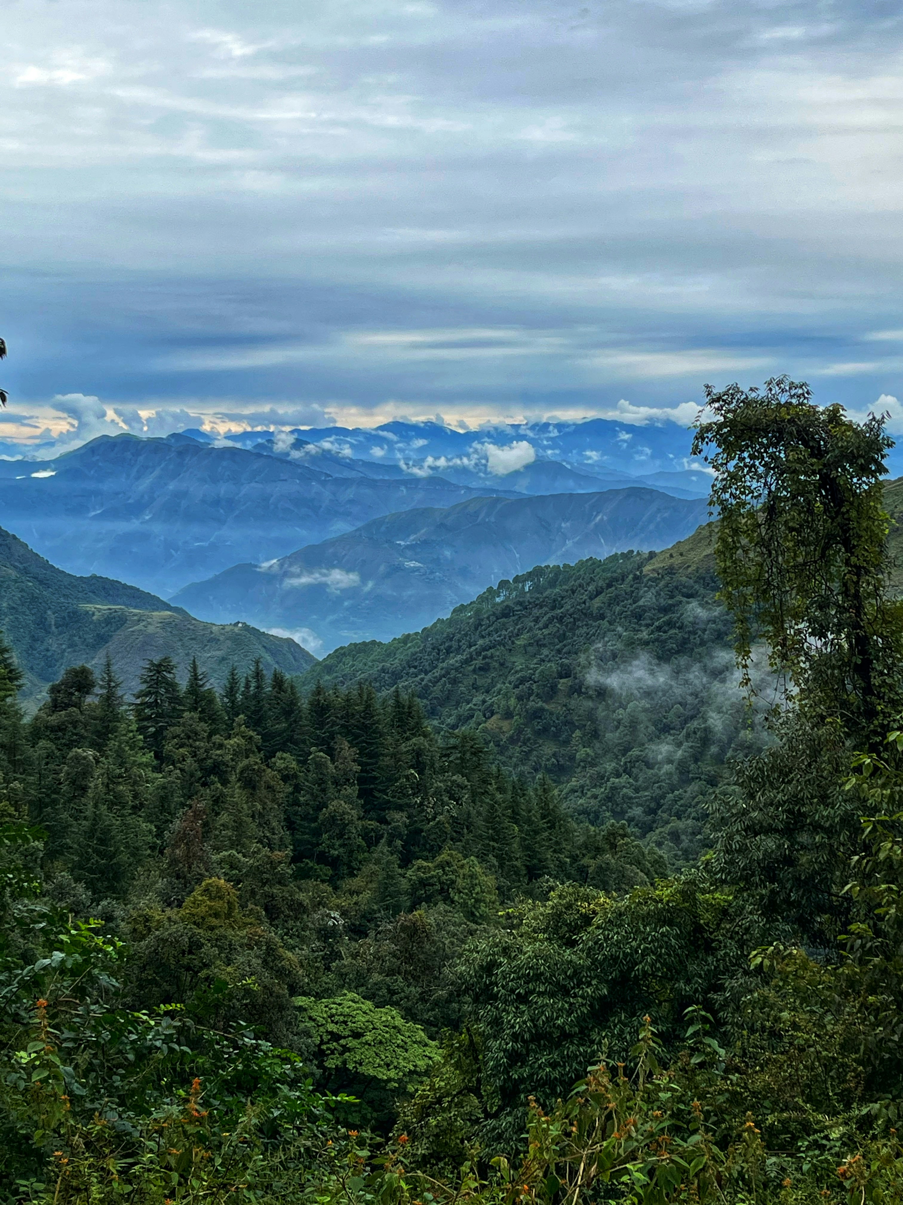 Photo by spectre8498