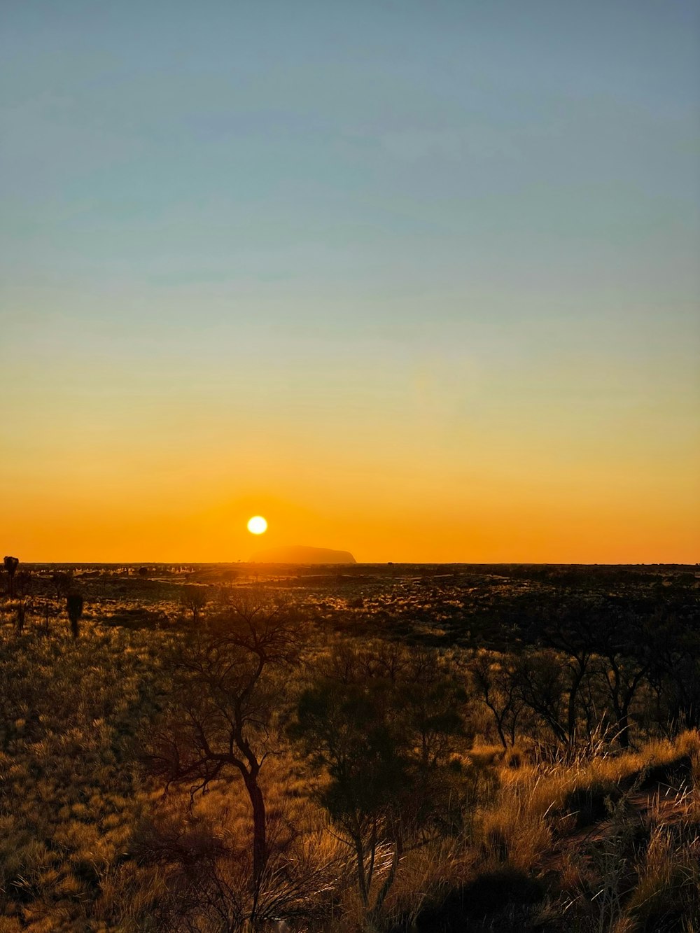 el sol se está poniendo sobre una llanura desértica