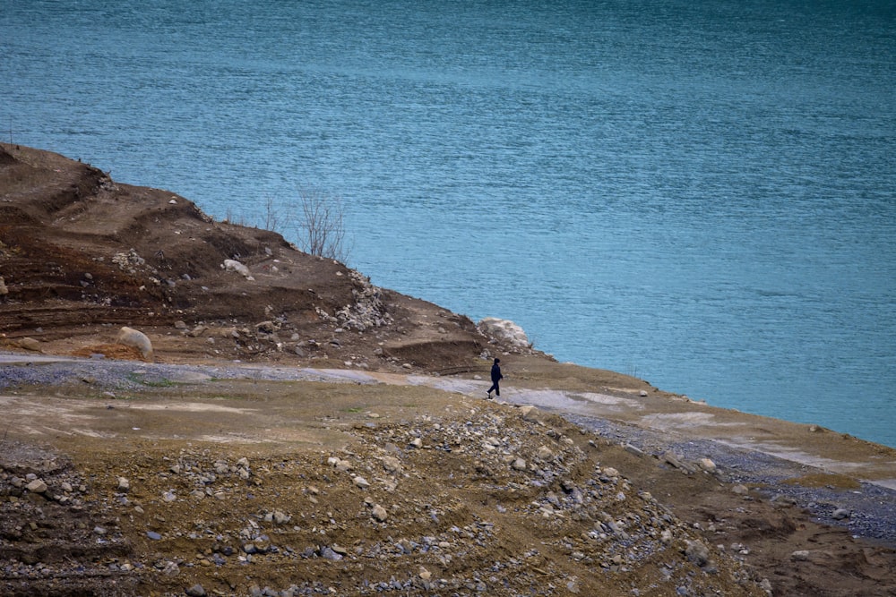 una persona solitaria parada en un acantilado con vistas a un cuerpo de agua