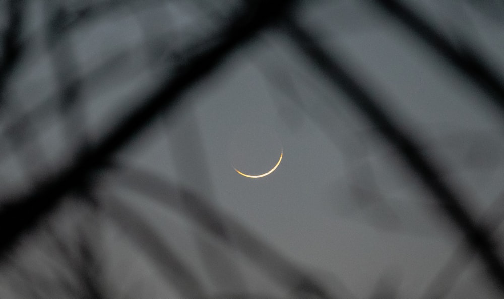 a crescent moon is seen through the branches of a tree