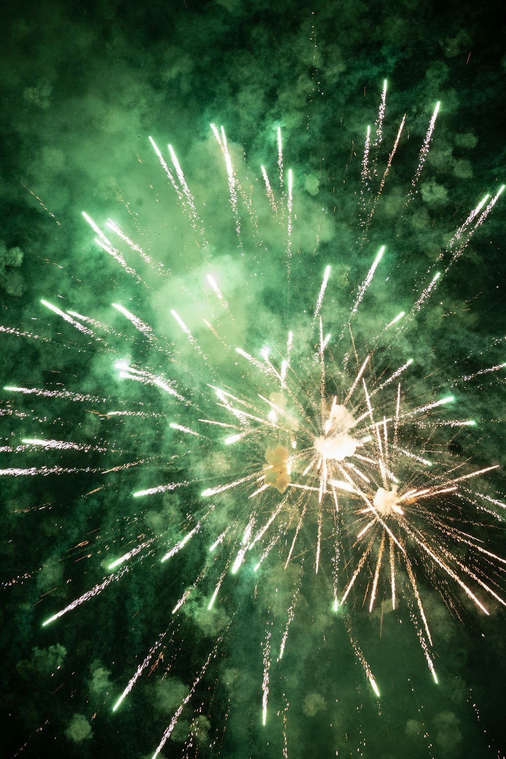 a green and white fireworks is in the sky