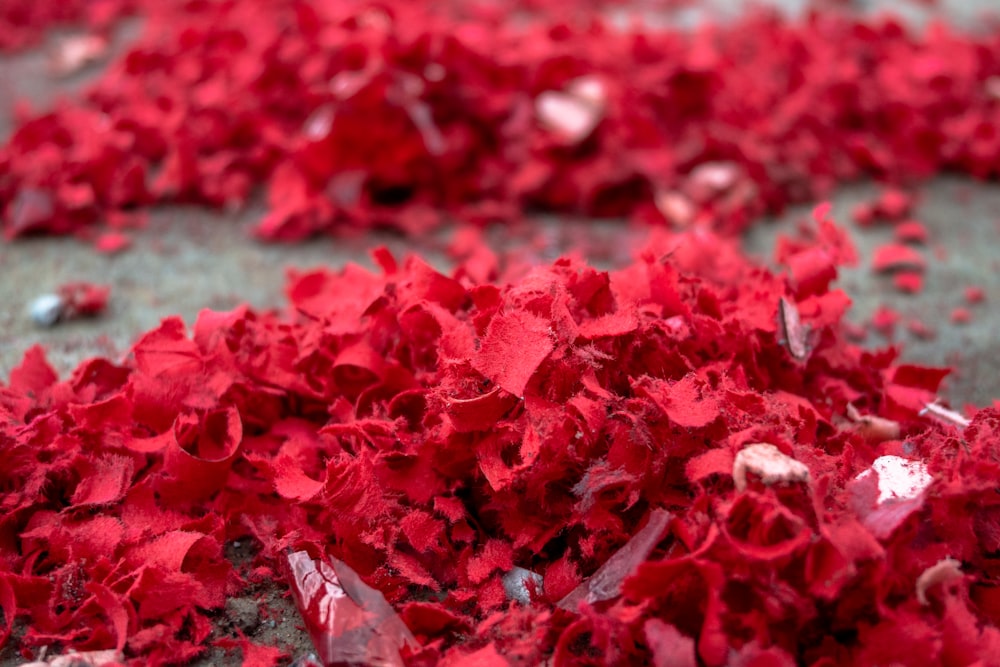 a pile of red petals on the ground