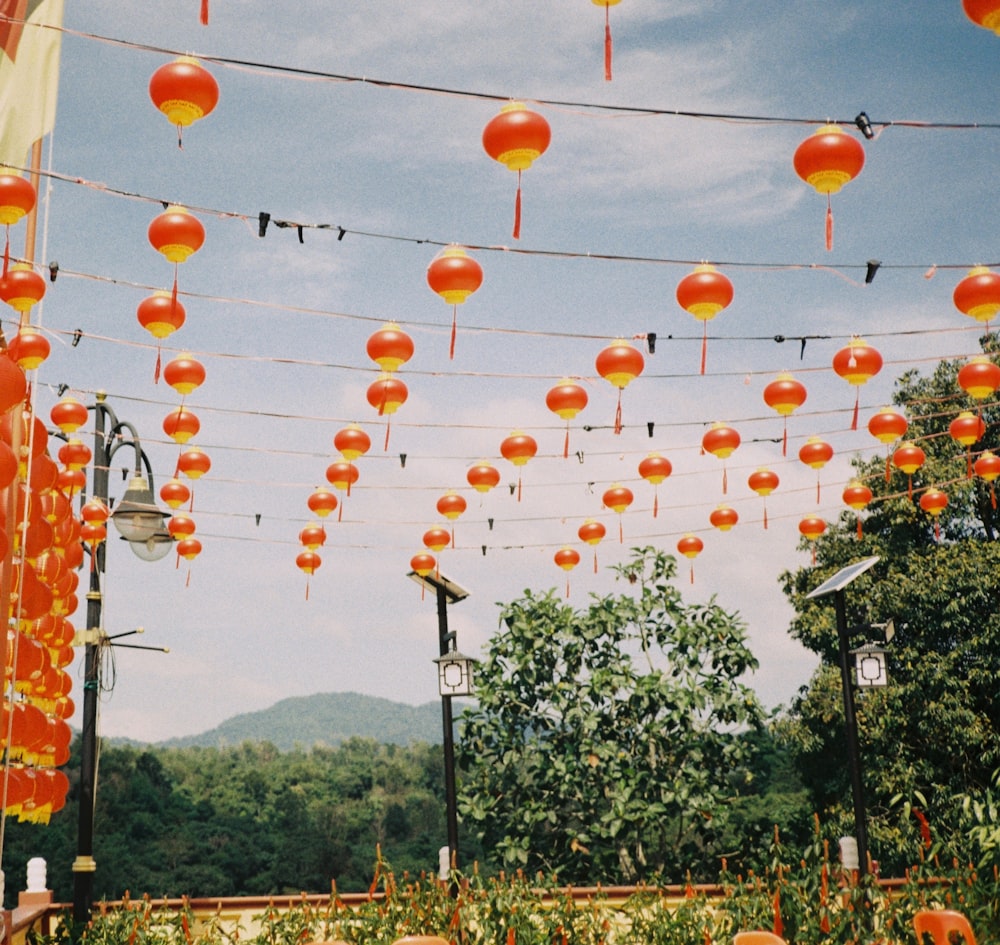 a bunch of orange lanterns hanging from a line