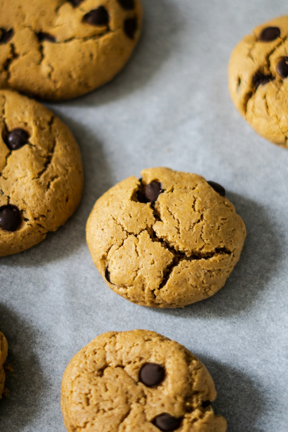 a close up of a cookie with chocolate chips