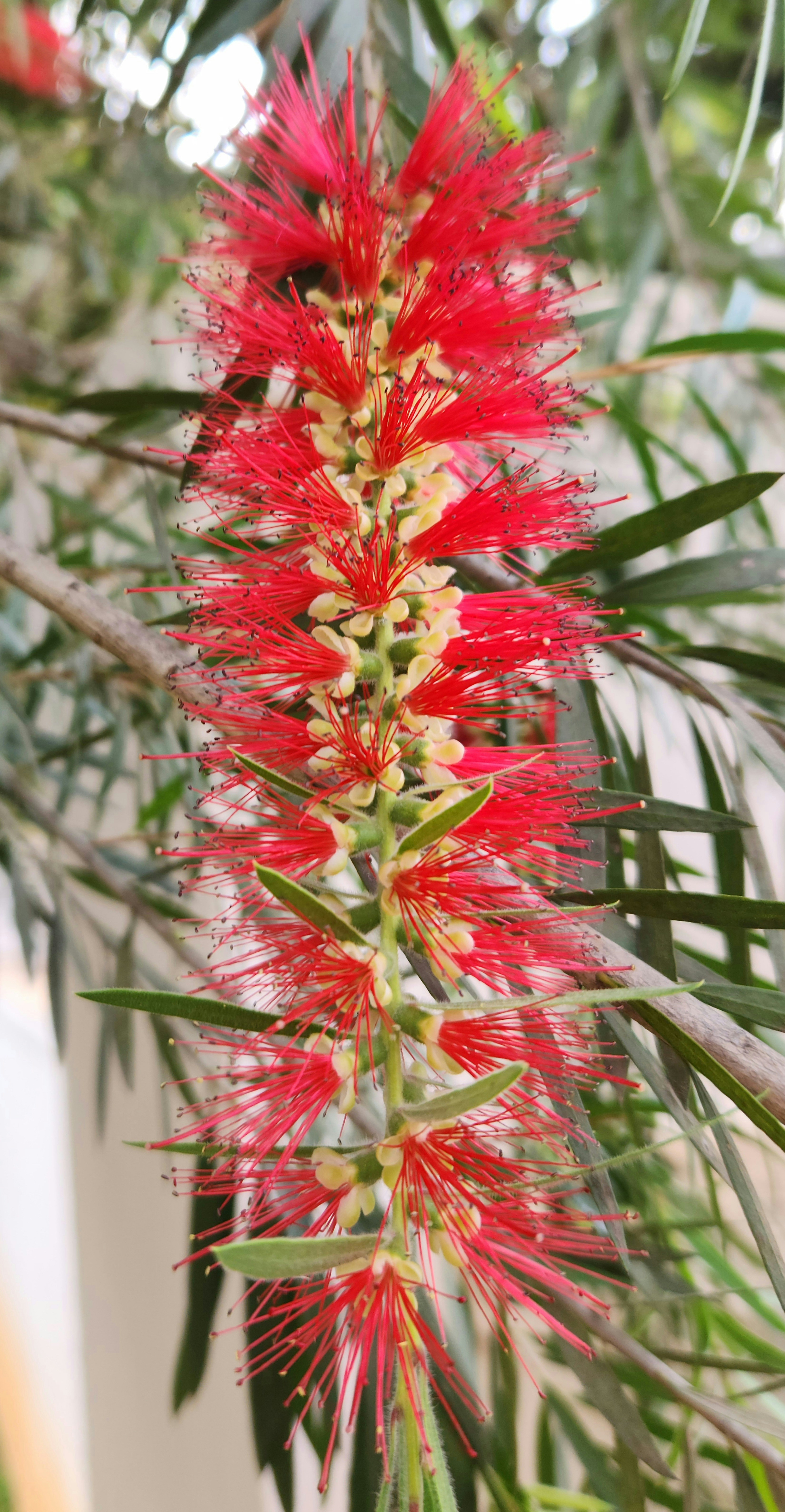 Photo by zoshuacolah