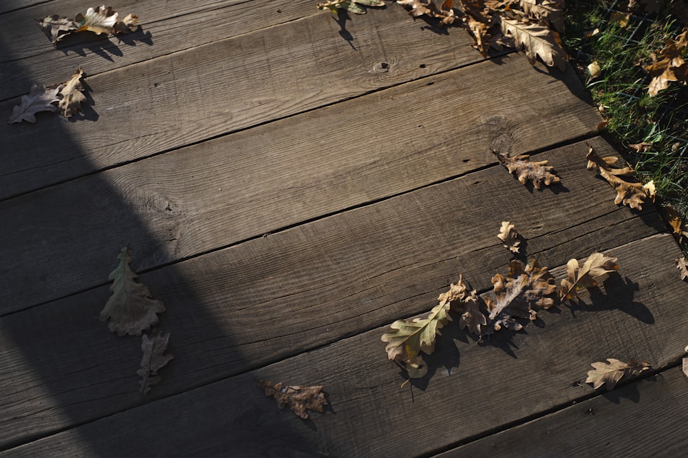 a wooden walkway with leaves on the ground