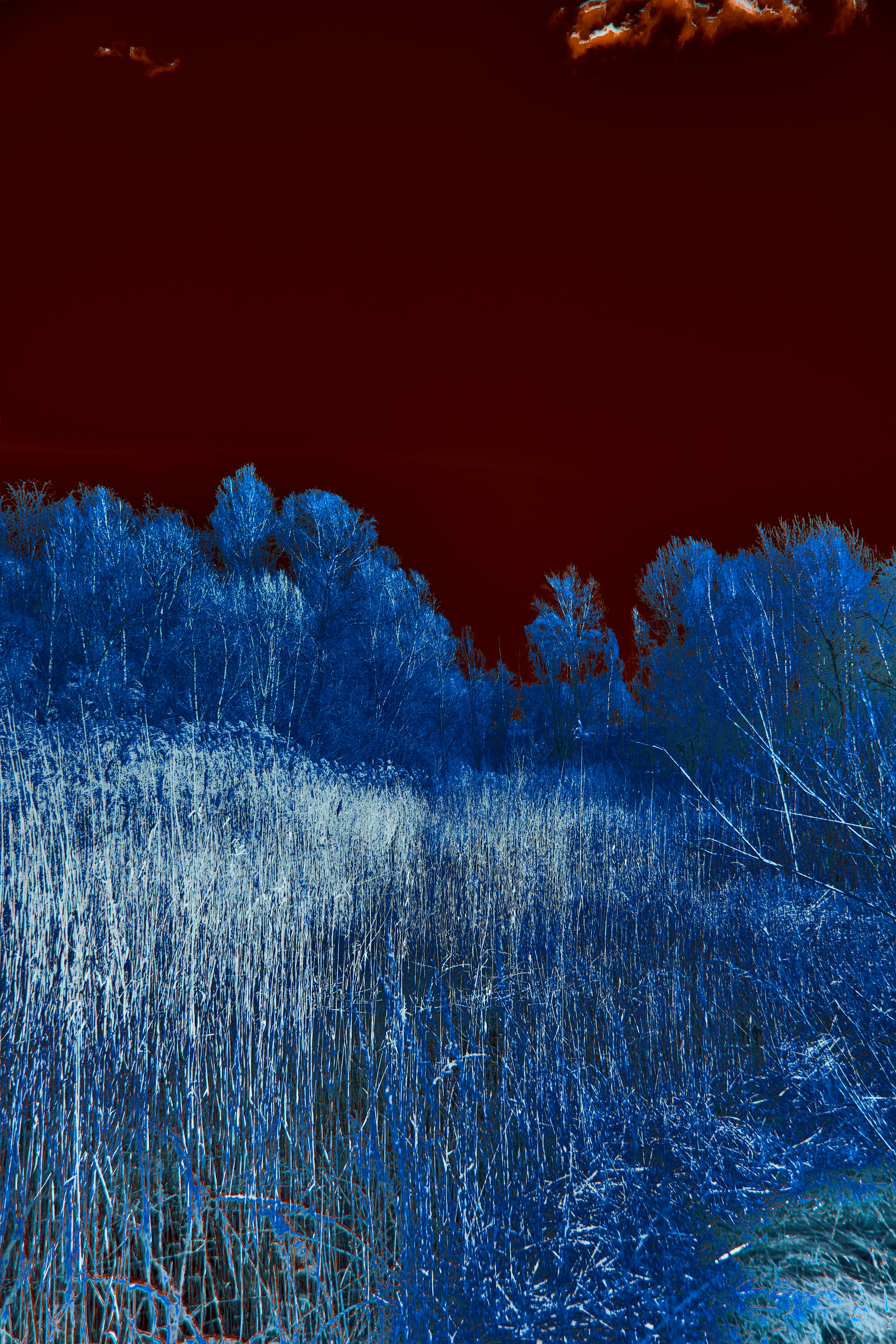 Photo by wolfgang_hasselmann