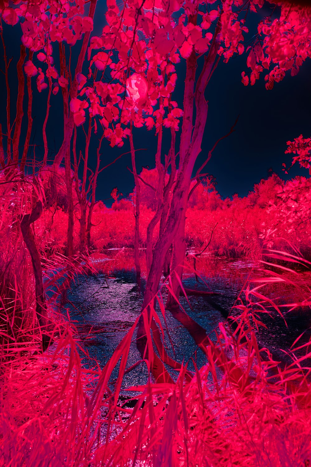 a red infrared image of a tree in a forest