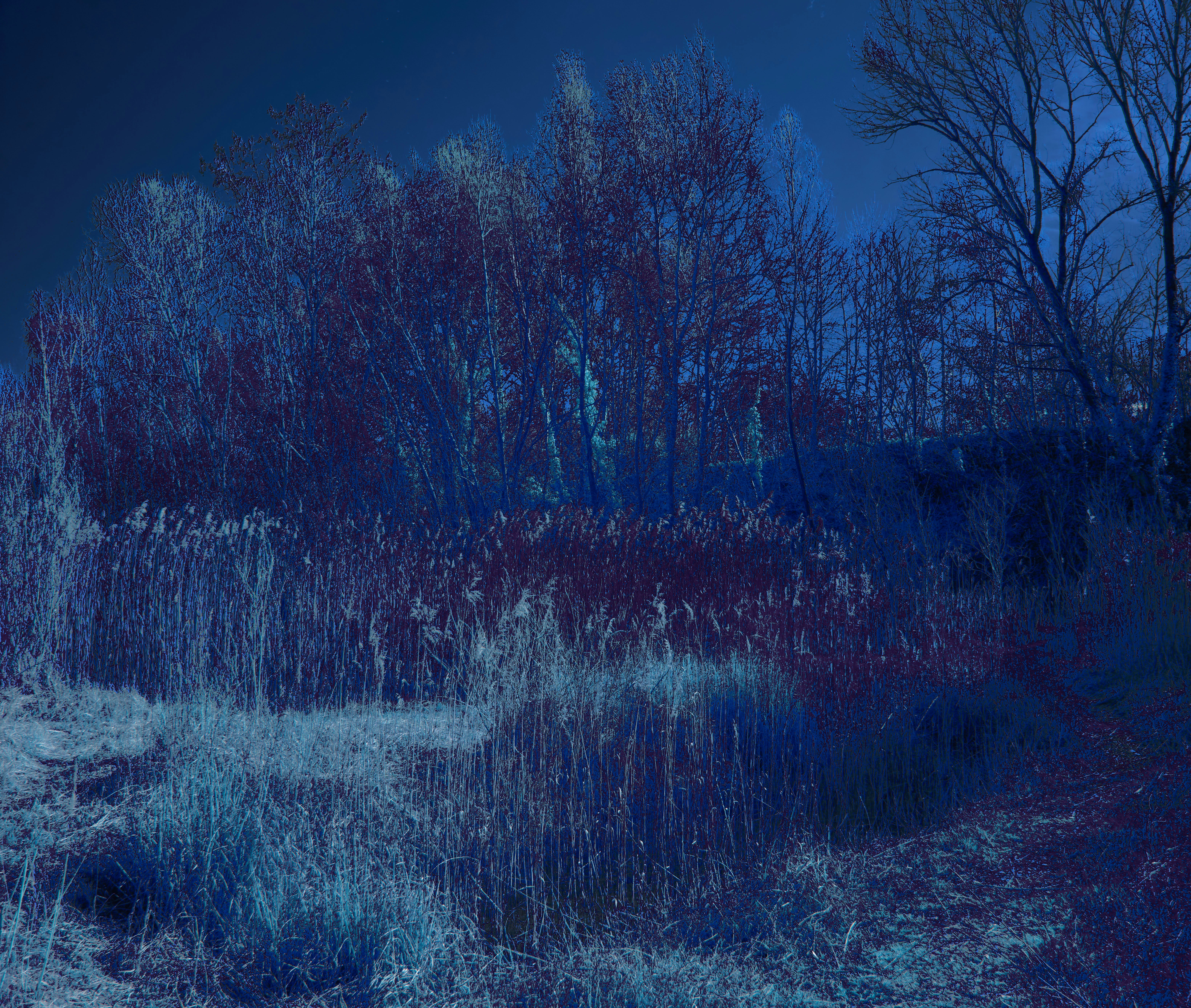 Photo by wolfgang_hasselmann