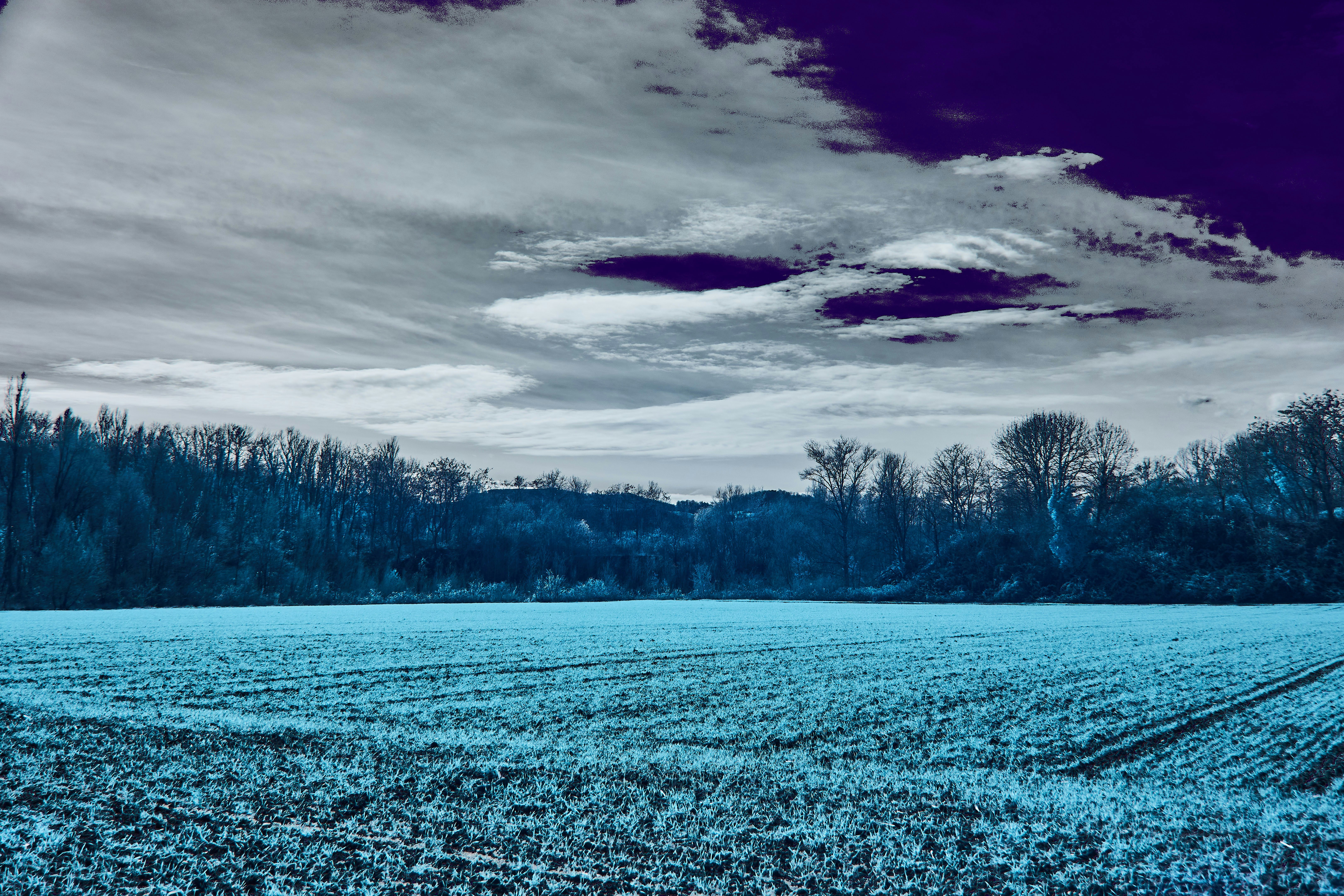 Photo by wolfgang_hasselmann