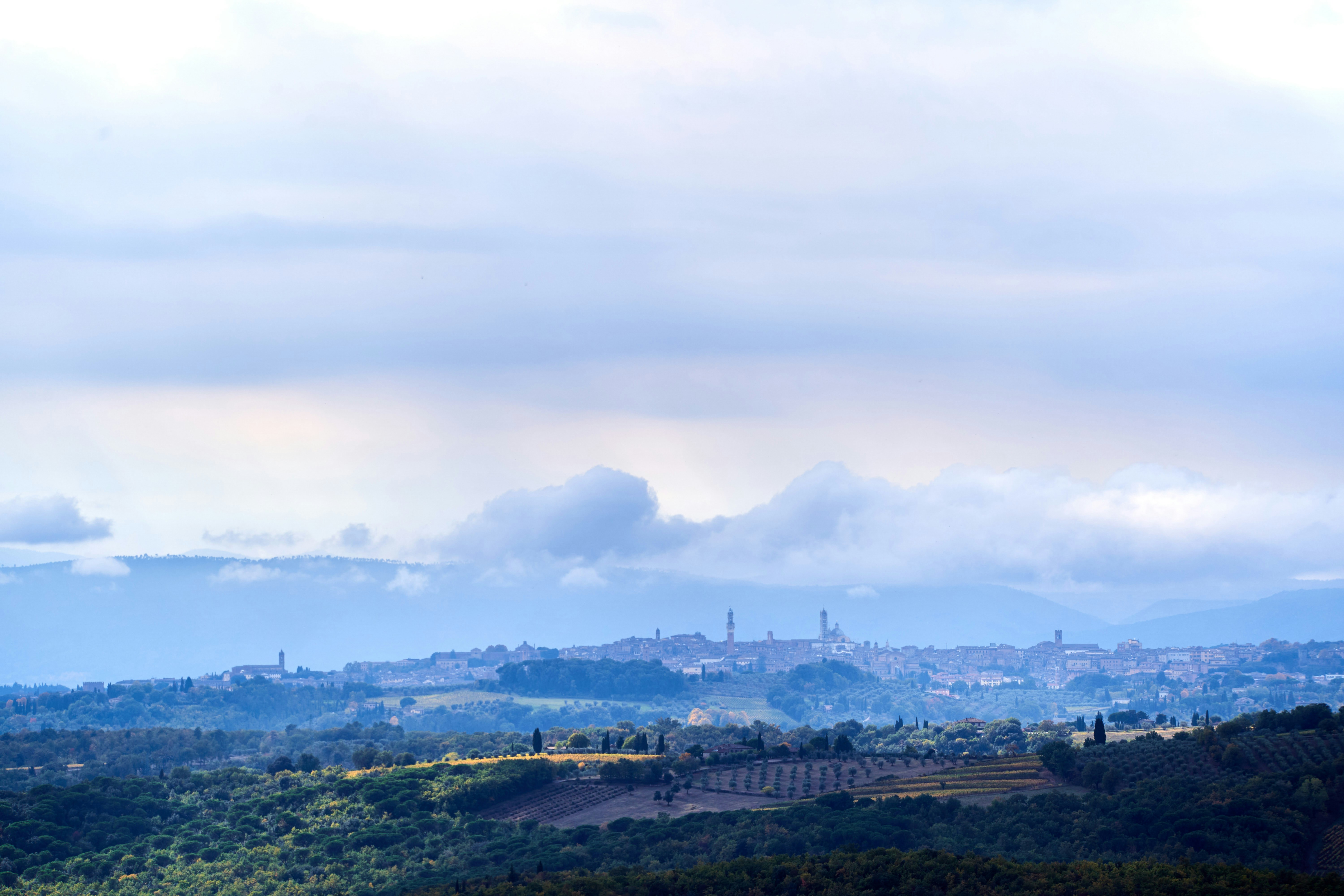 Photo by wolfgang_hasselmann