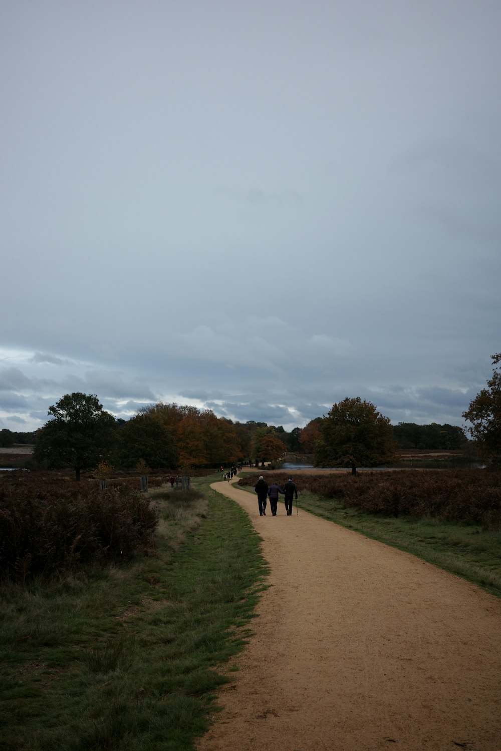 a group of people walking down a dirt road