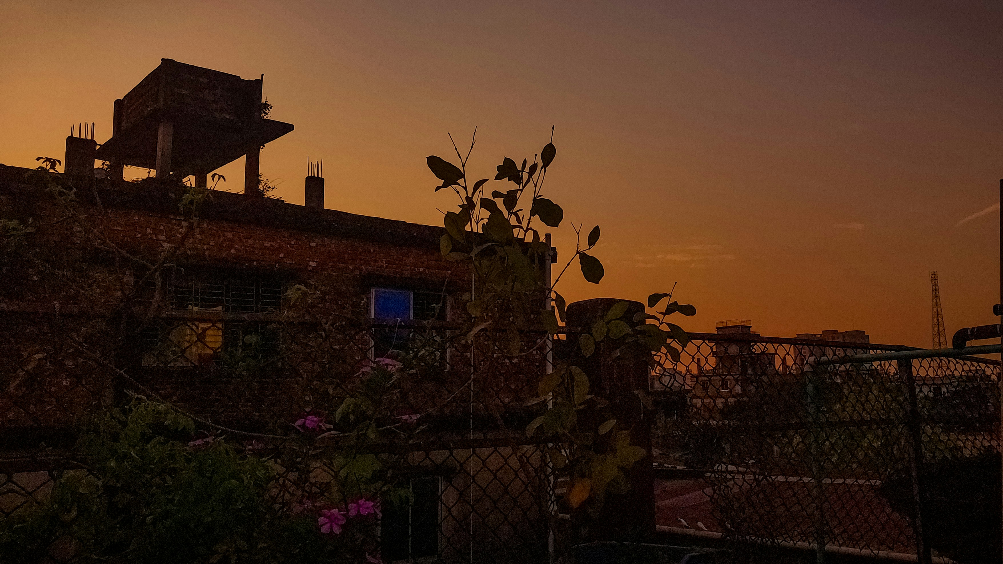 Photo by the_eclatique