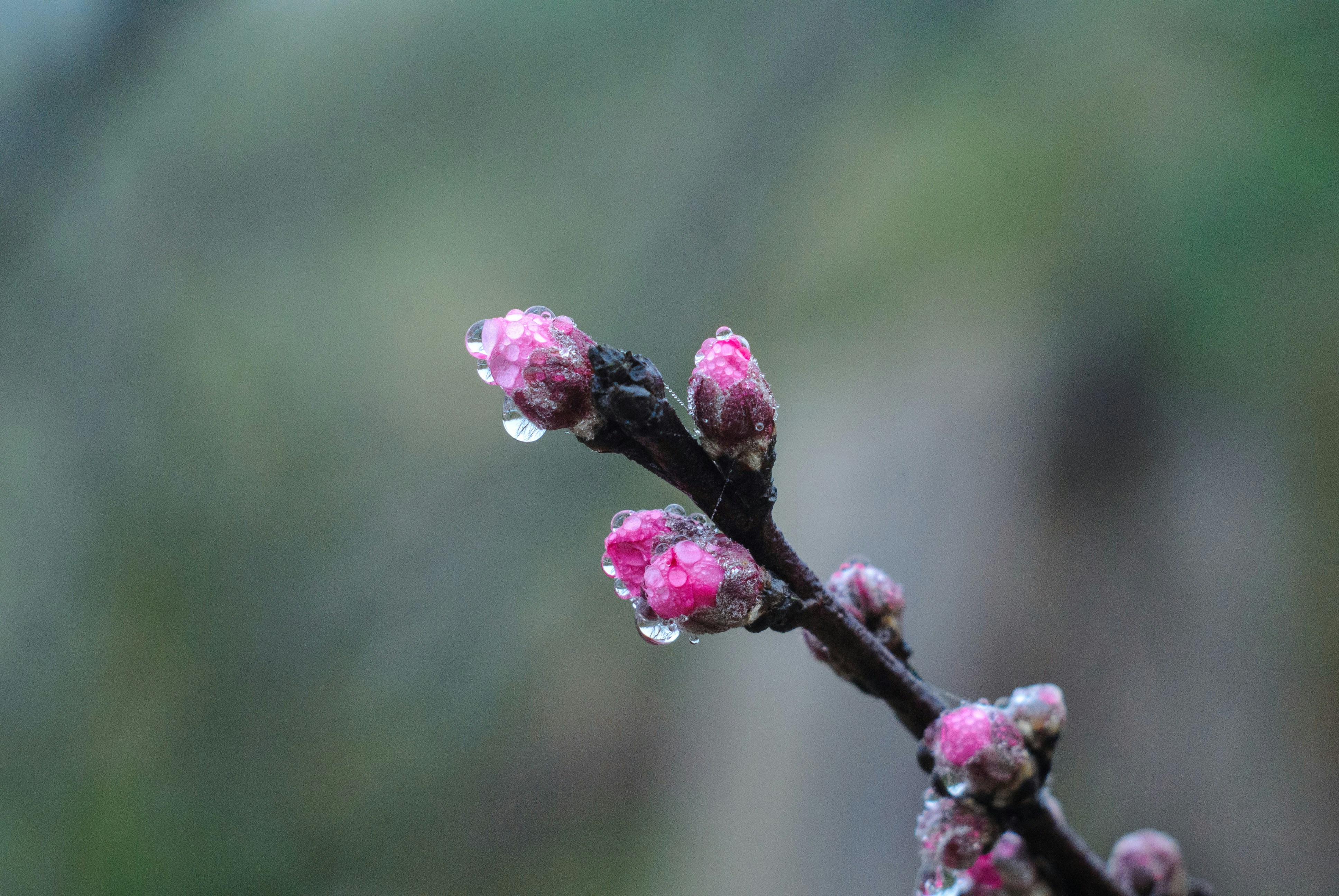 Photo by magicaleye7