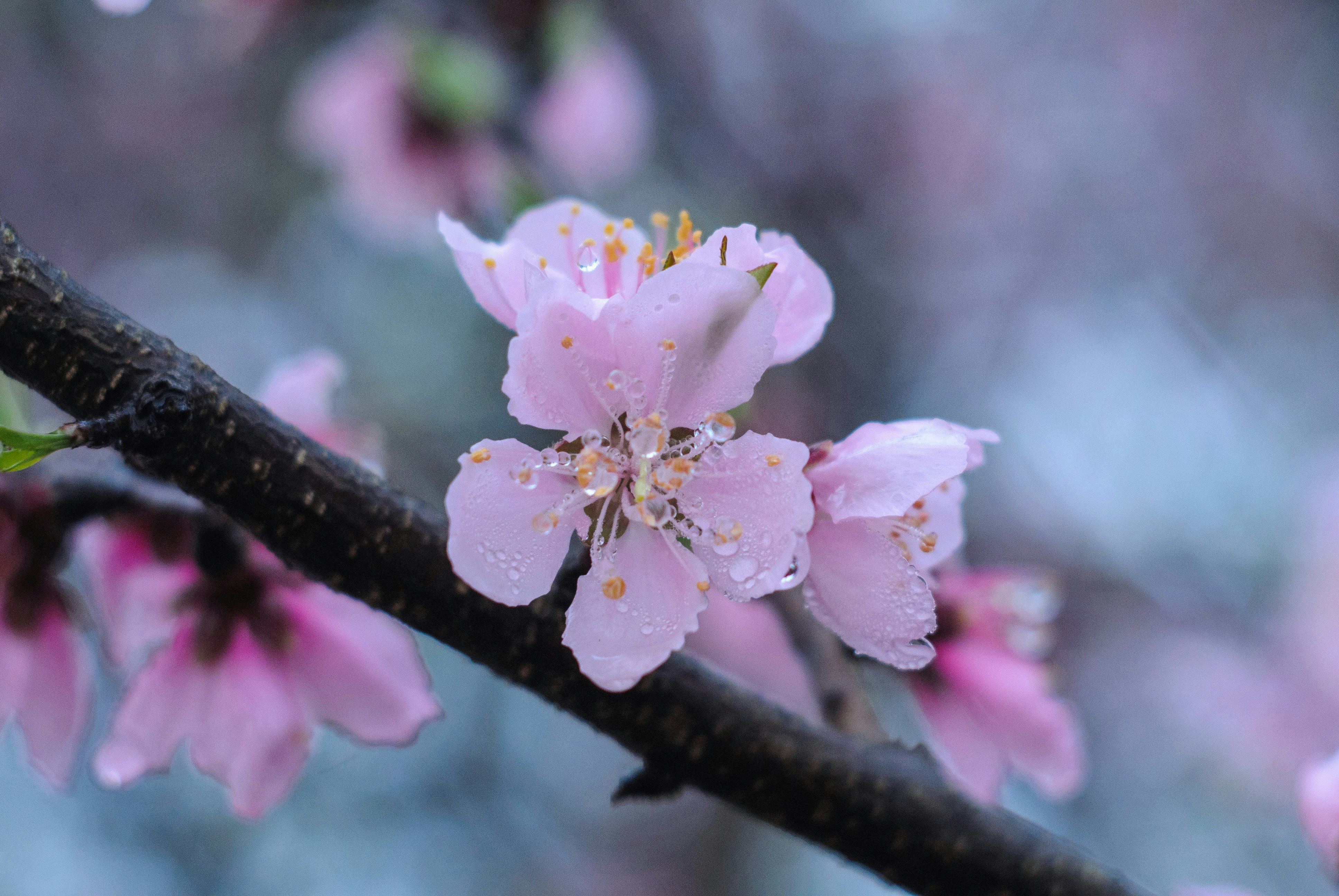 Photo by magicaleye7