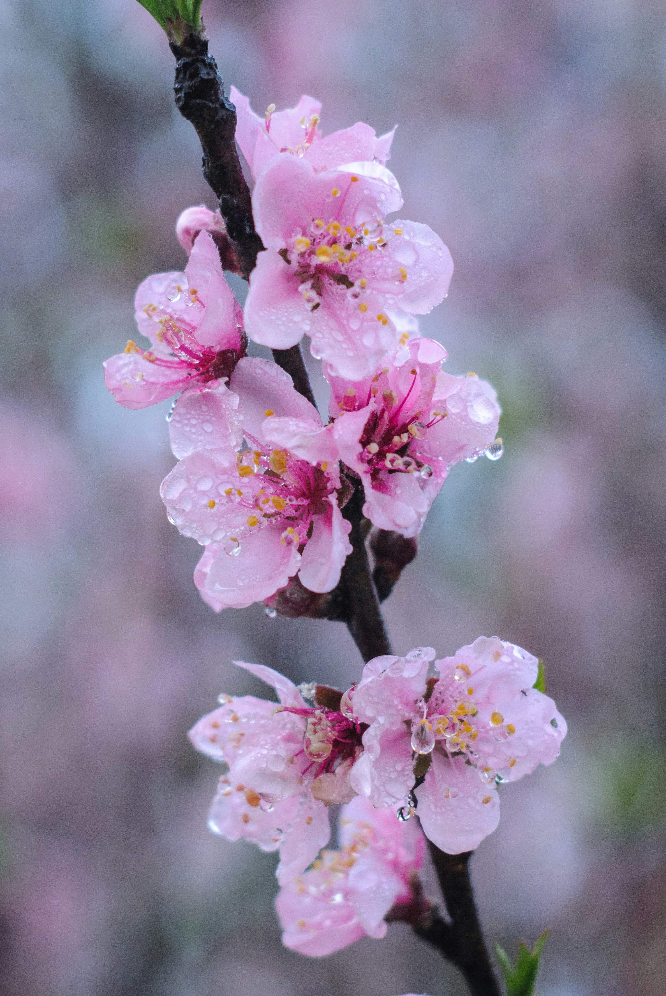 Photo by magicaleye7