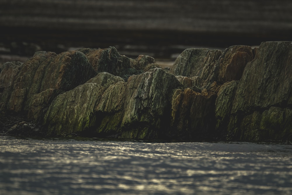 a bird is sitting on some rocks in the water