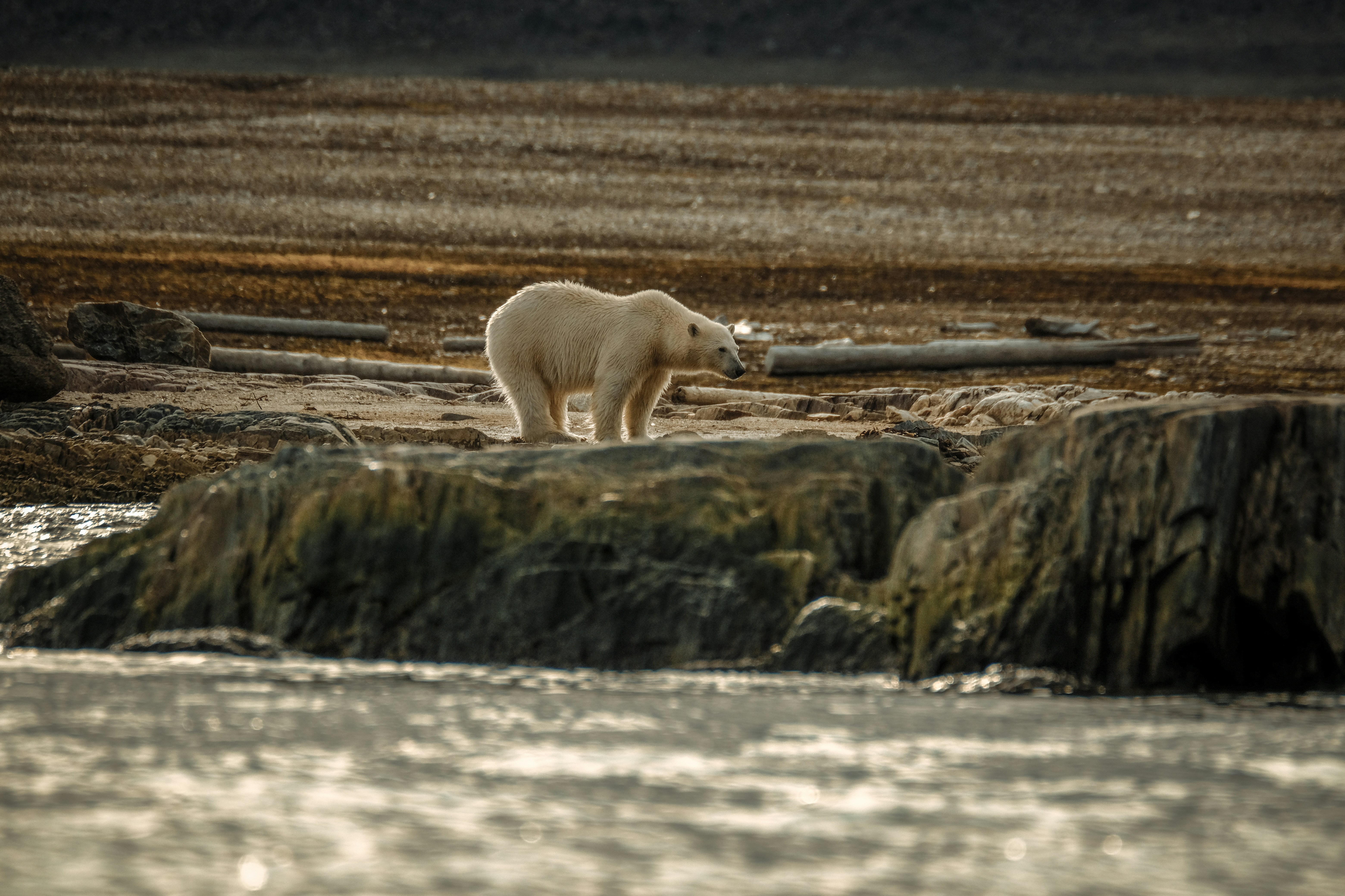 Photo by francesco_ungaro