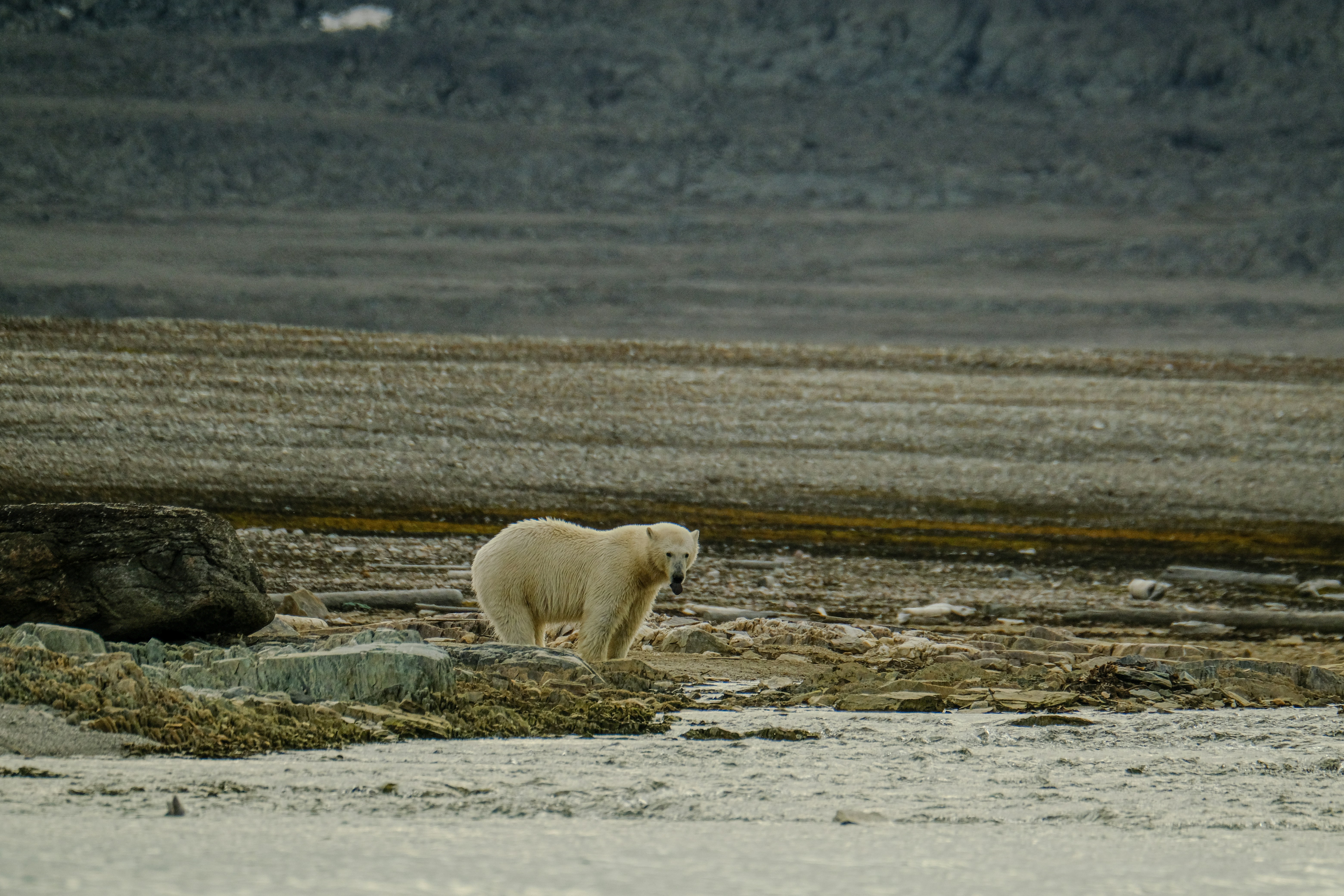 Photo by francesco_ungaro