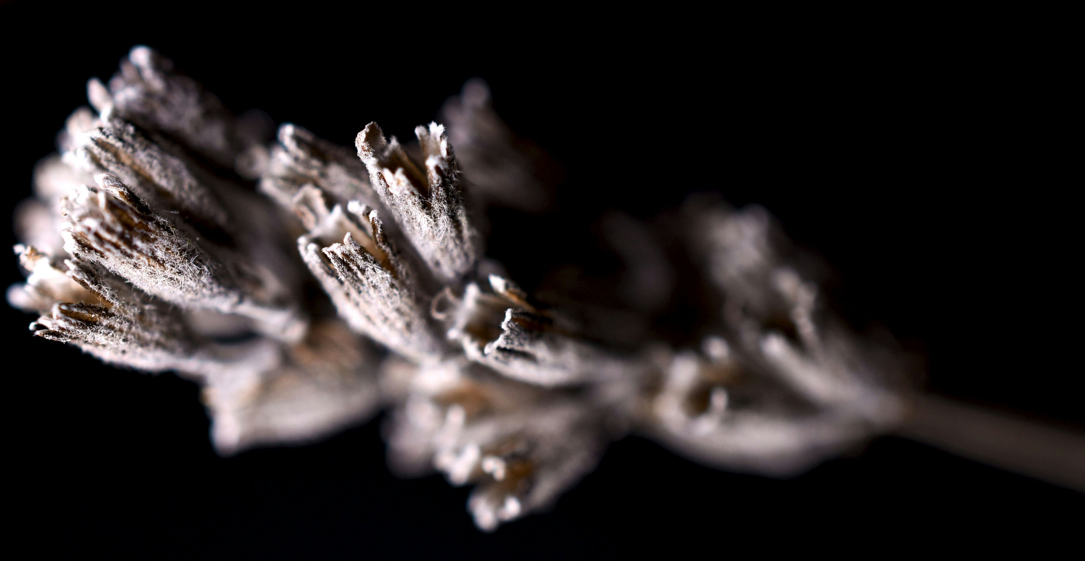 Photo by julia_fiander