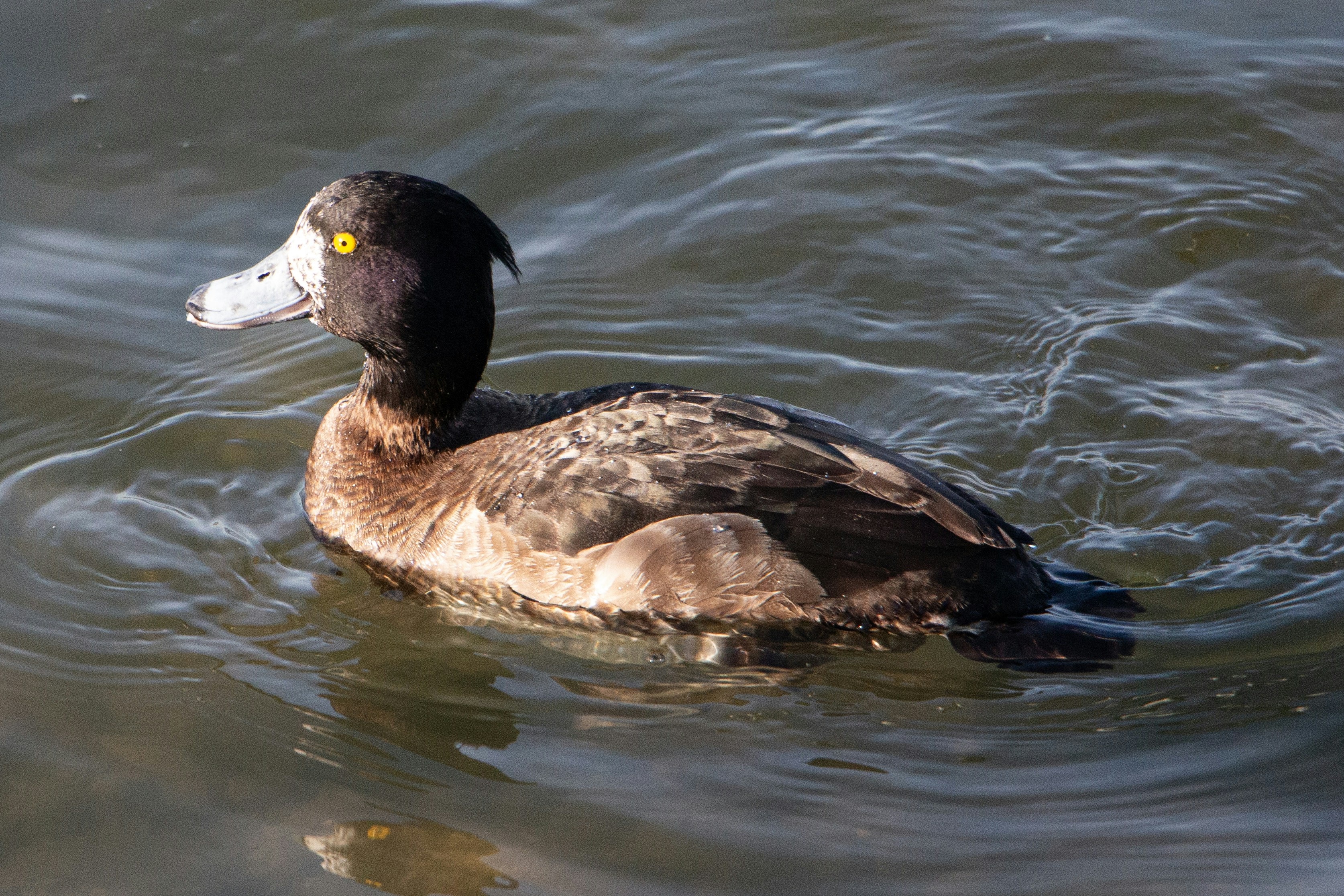 Photo by stepan_konev