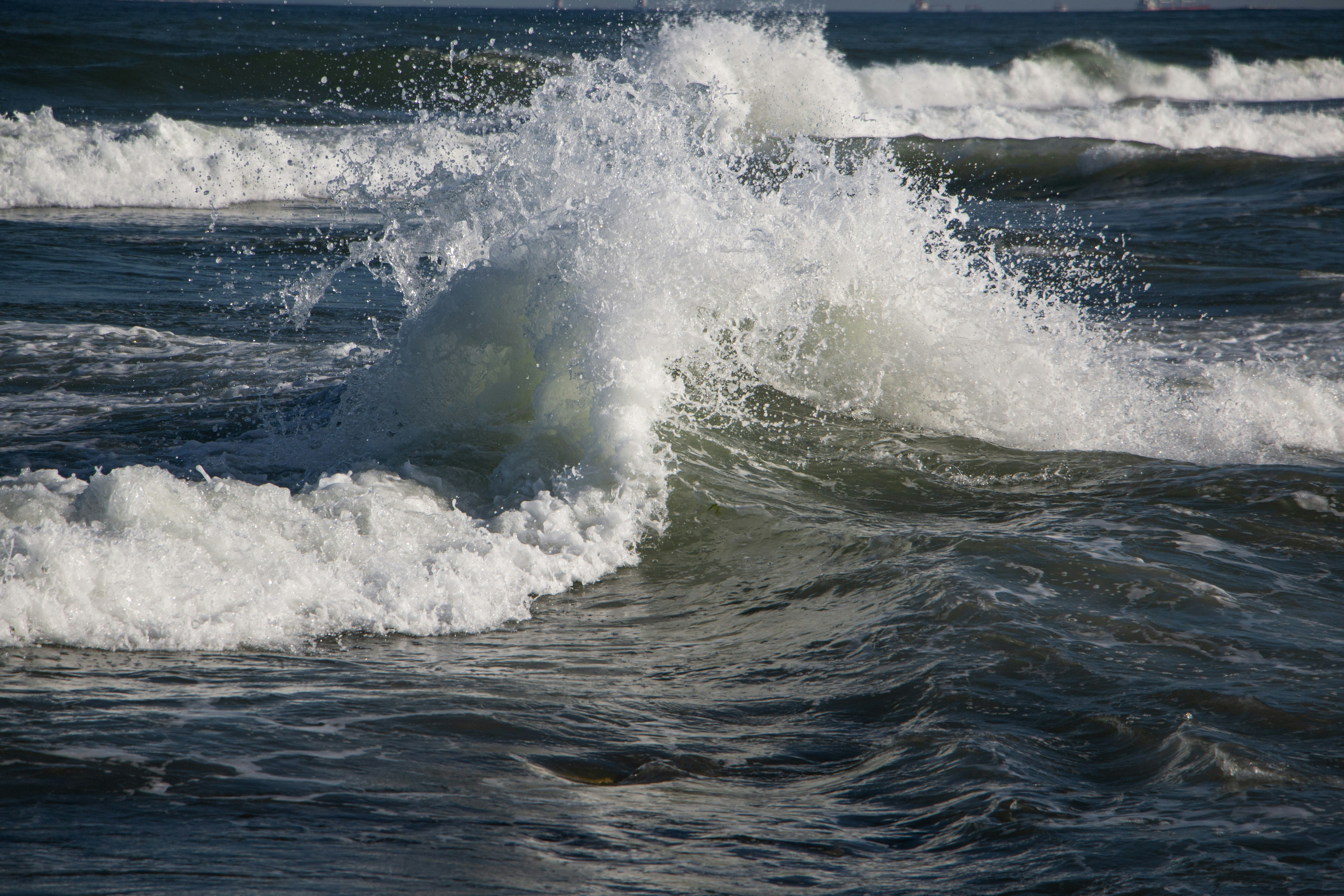 Photo by stepan_konev