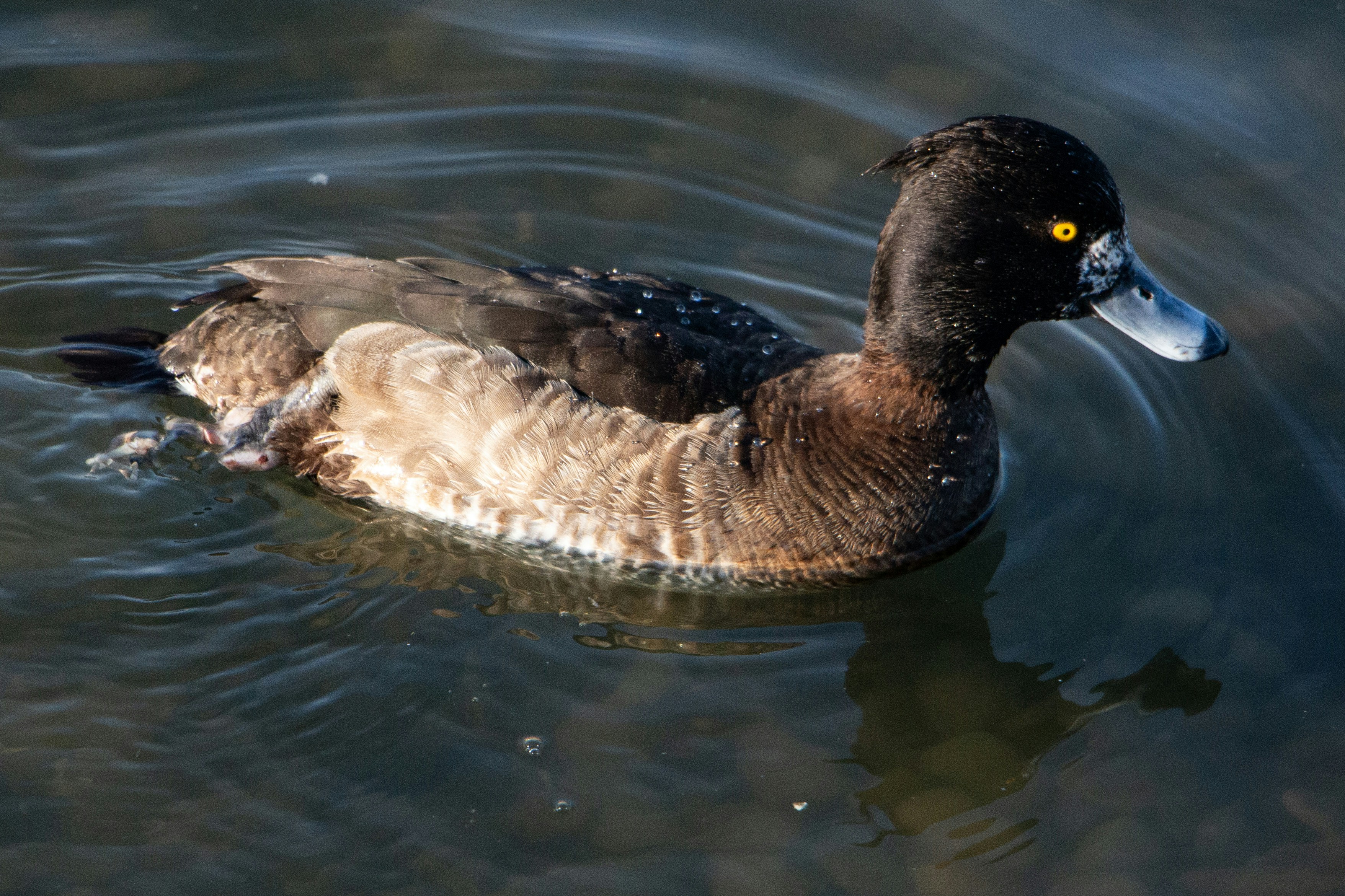 Photo by stepan_konev