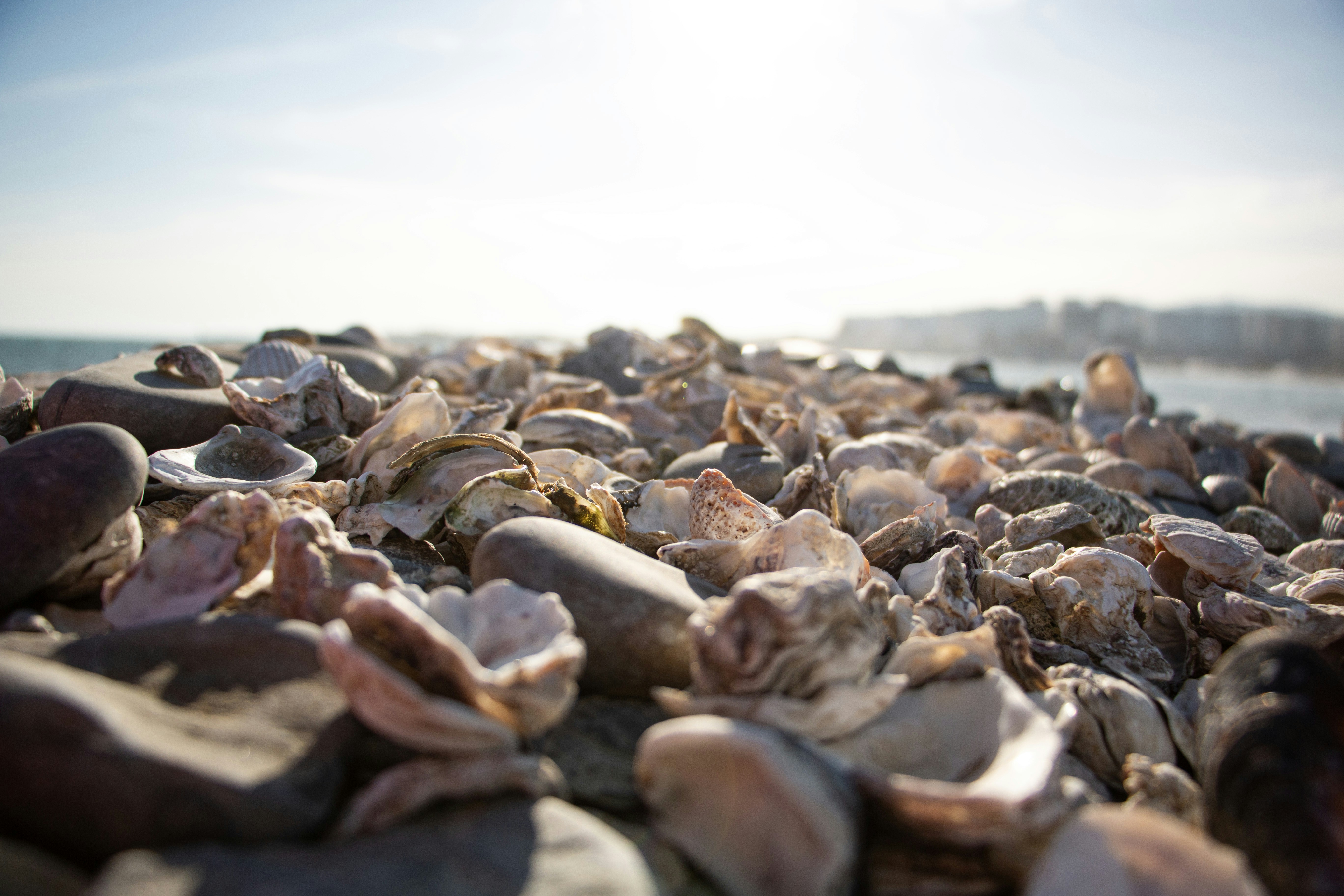 Photo by stepan_konev