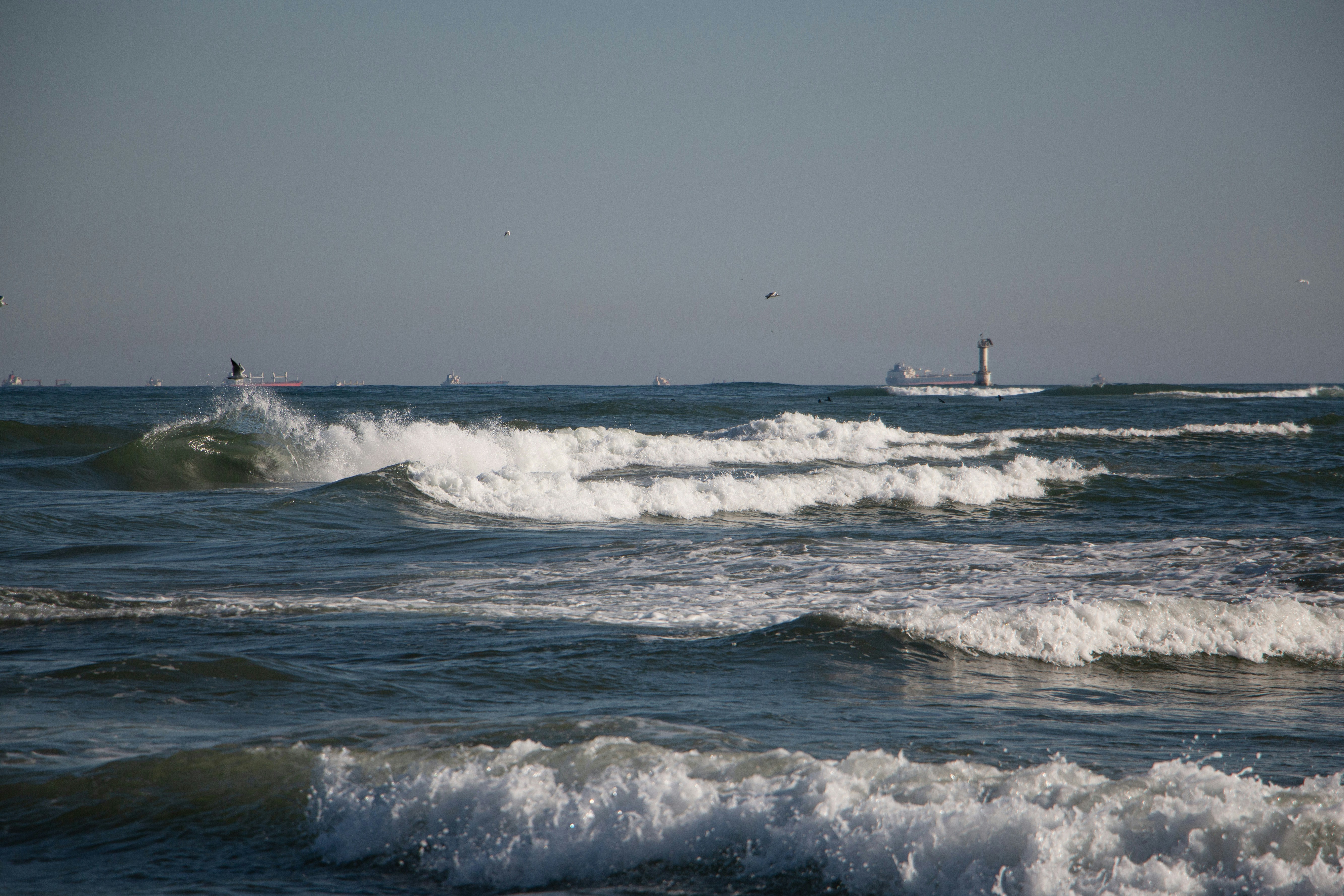 Photo by stepan_konev