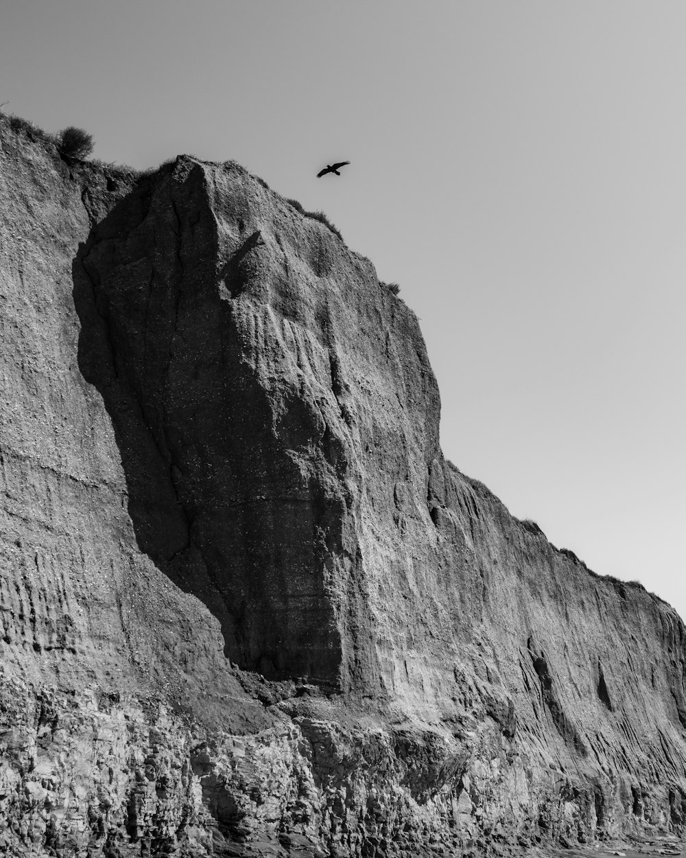 a black and white photo of a bird flying over a cliff