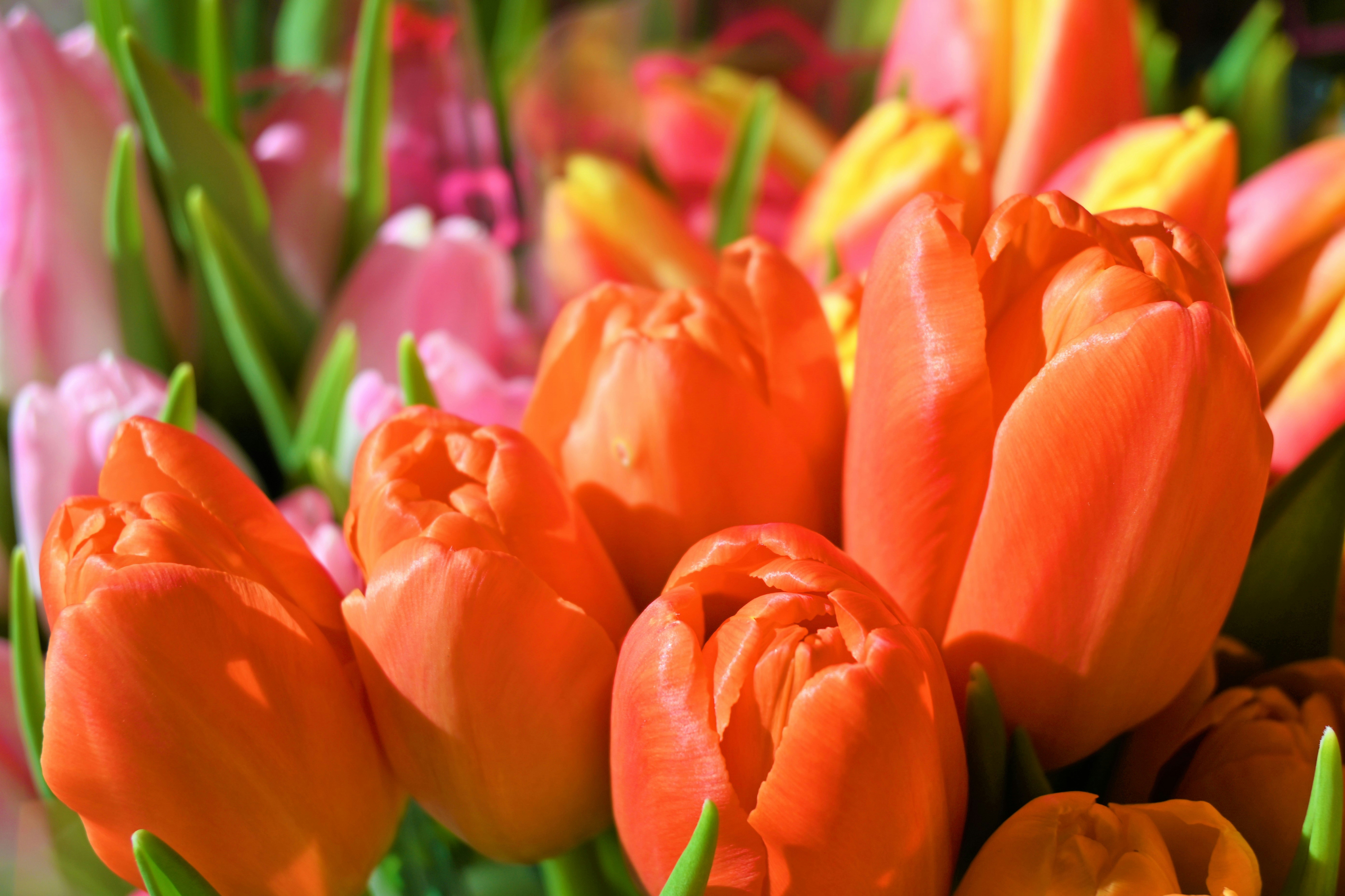 Photo by karolinabobek