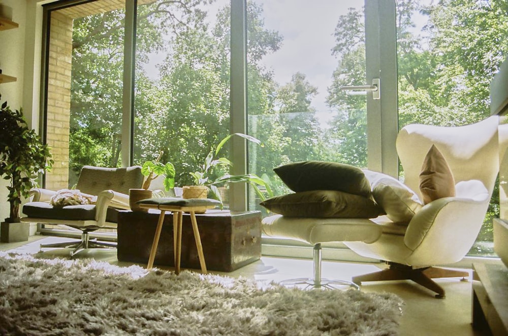 Serenity Defined Minimalist Cozy Living Room Ideas