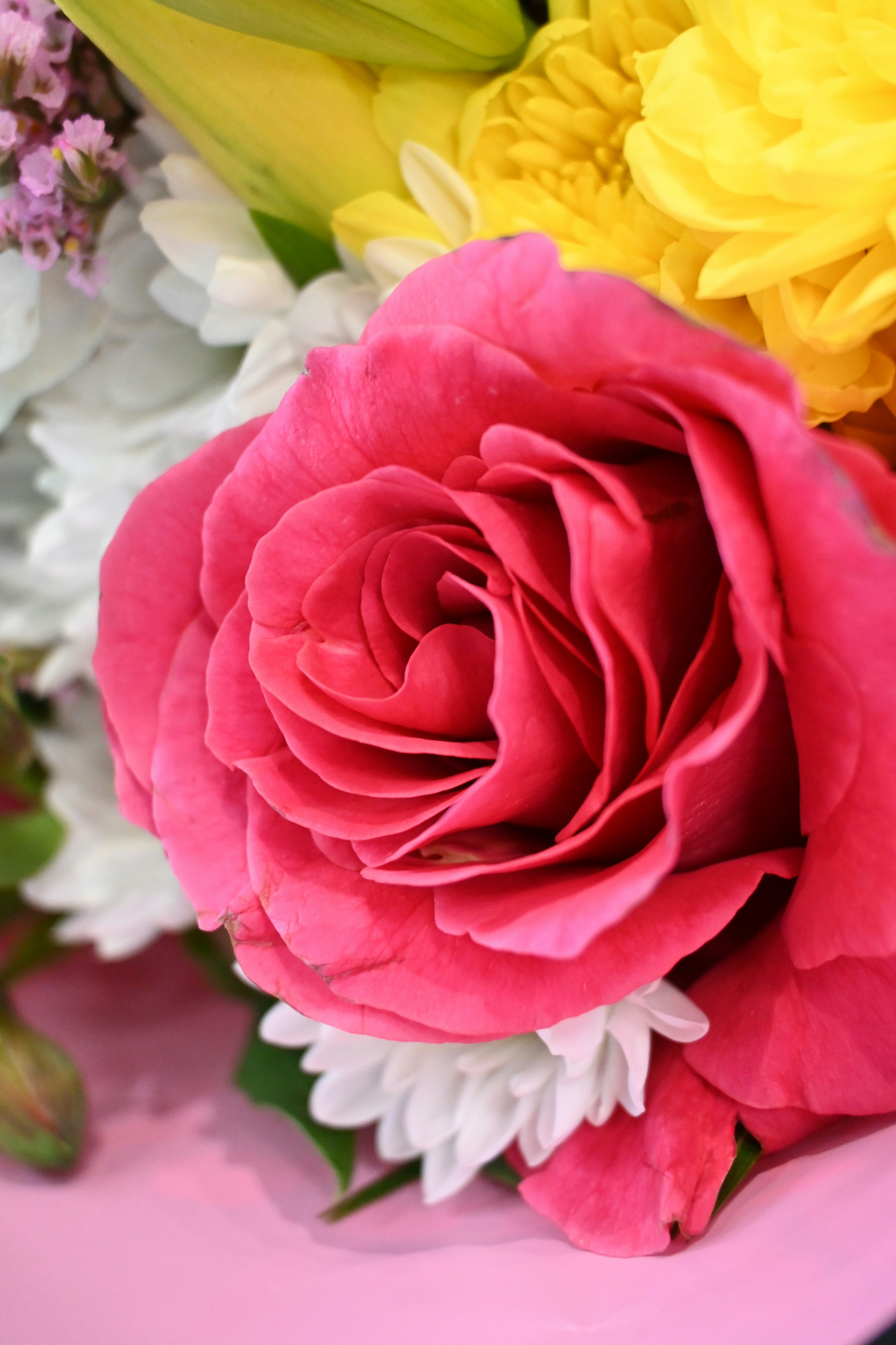 Photo by karolinabobek