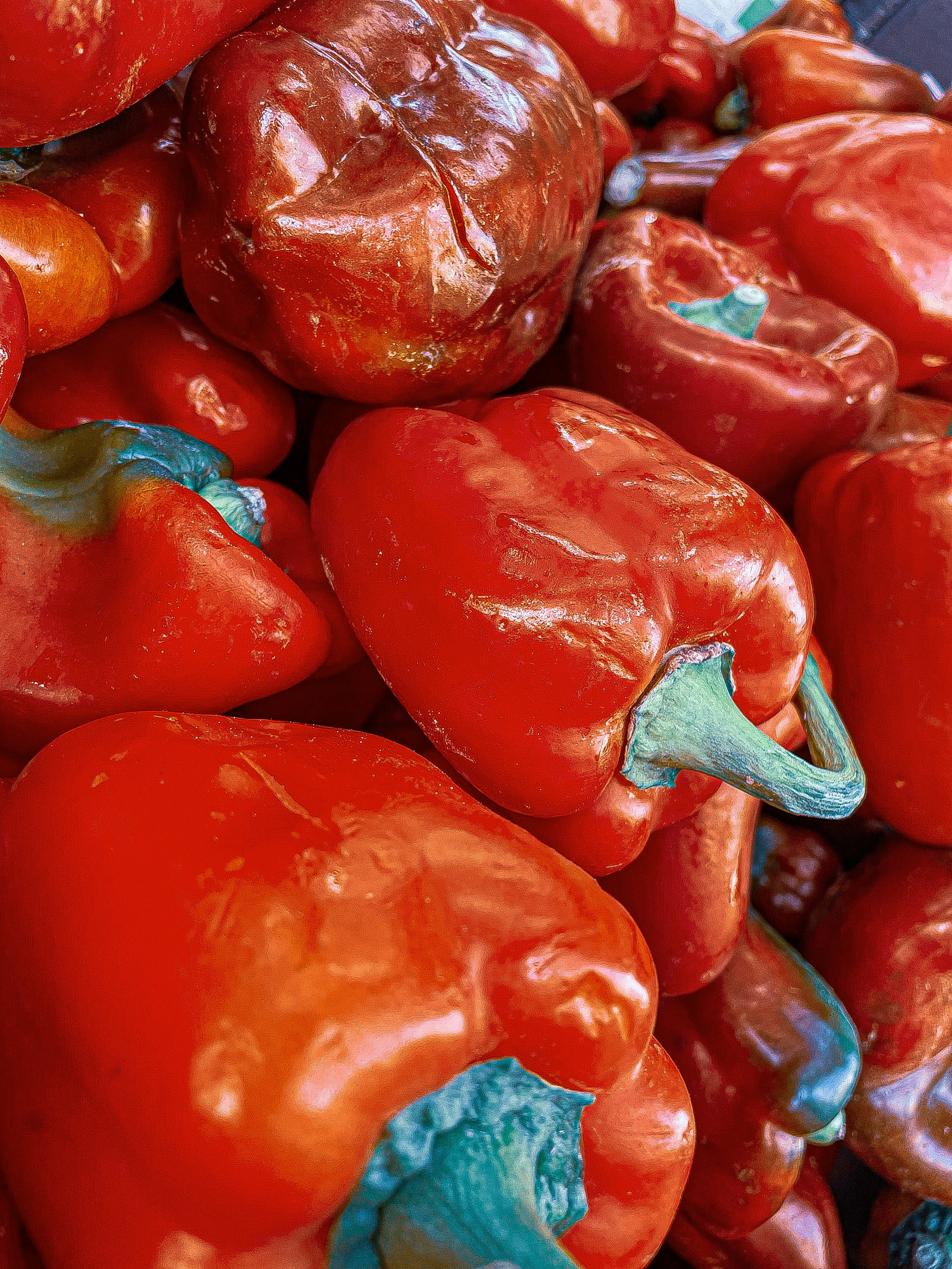 Photo by miguelitopamplenas