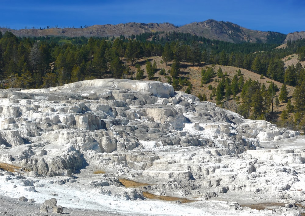 a large group of white rocks and trees