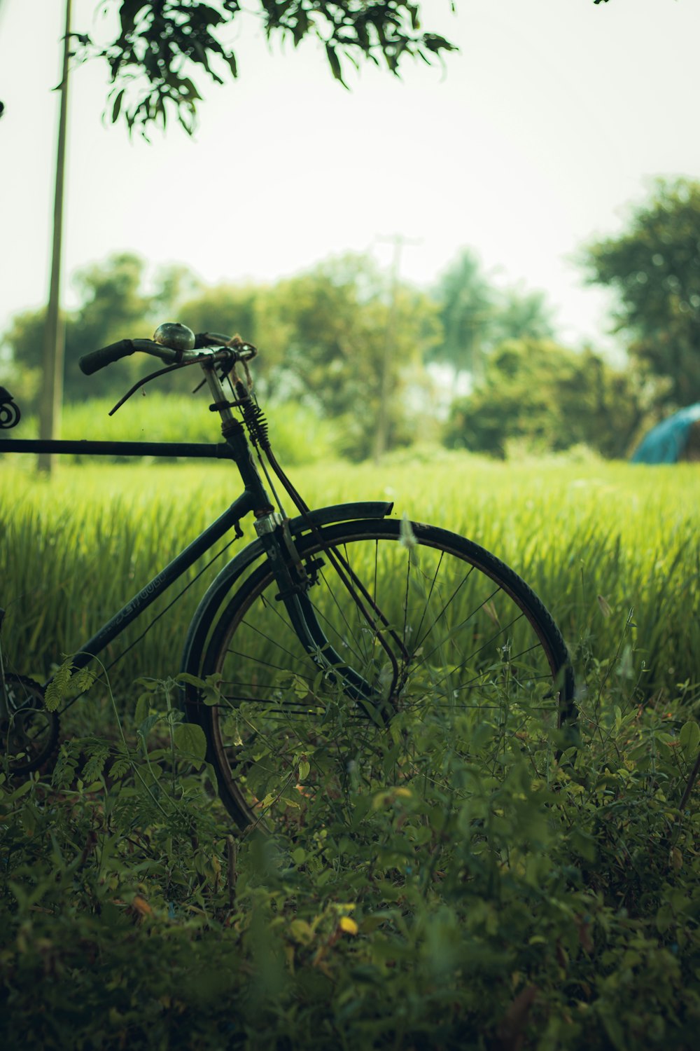a bike parked in the grass near a tree