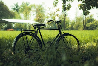a bicycle is parked in the grass near a barn