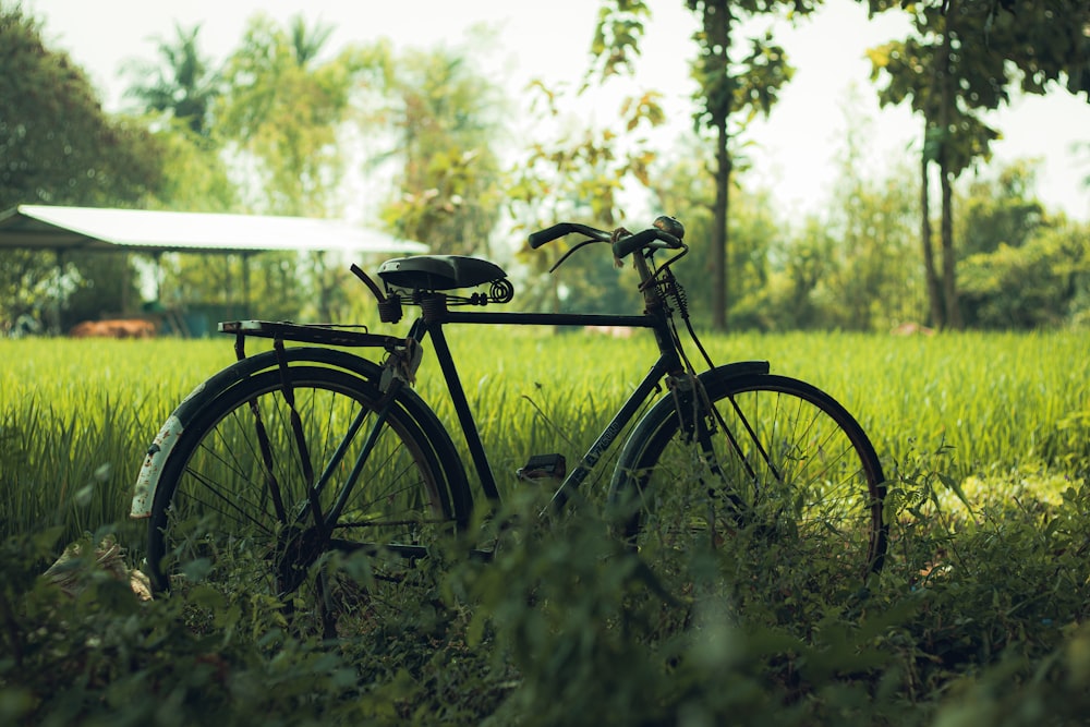 a bicycle is parked in the grass near a barn