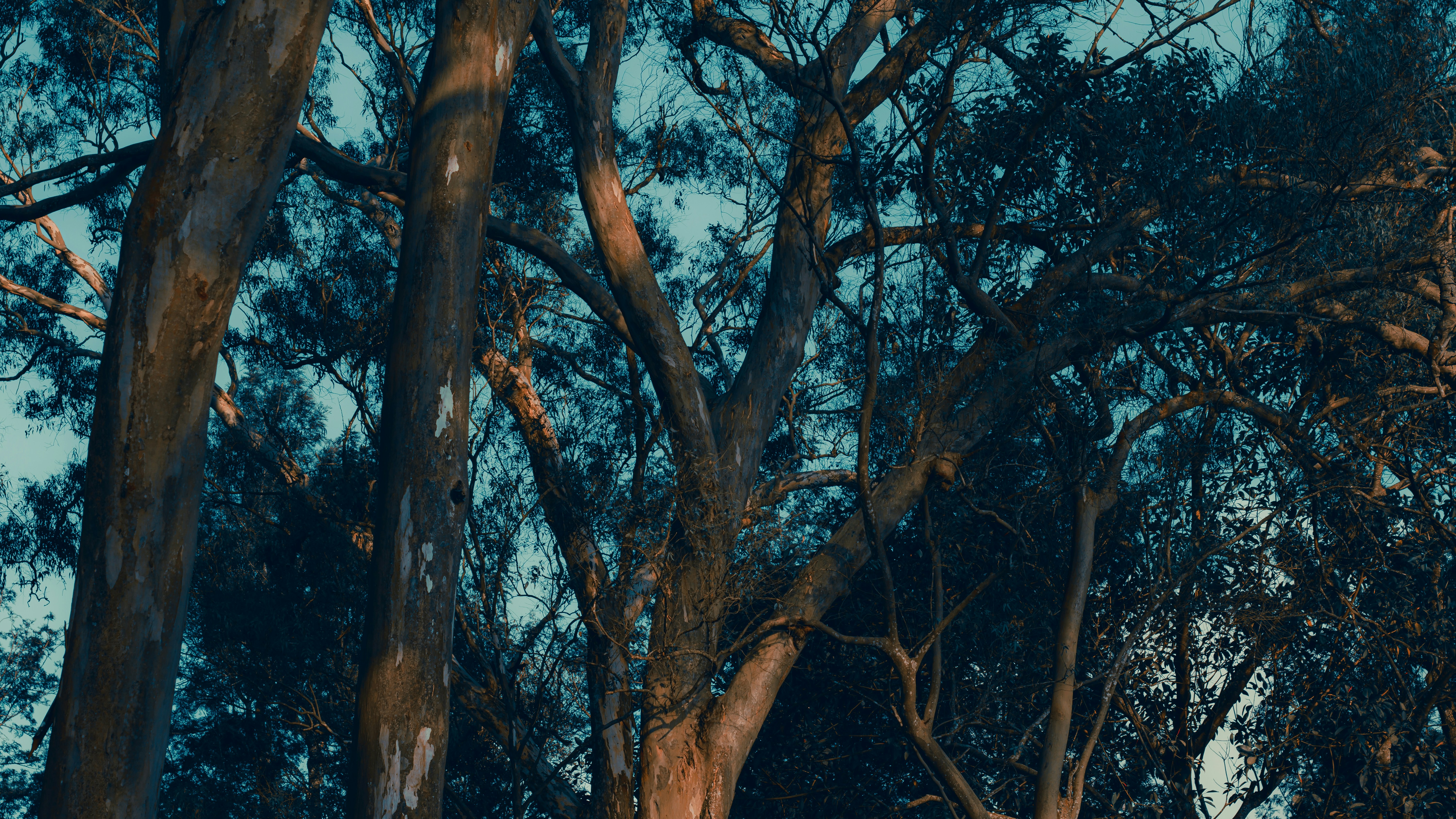 Photo by dhilipantony