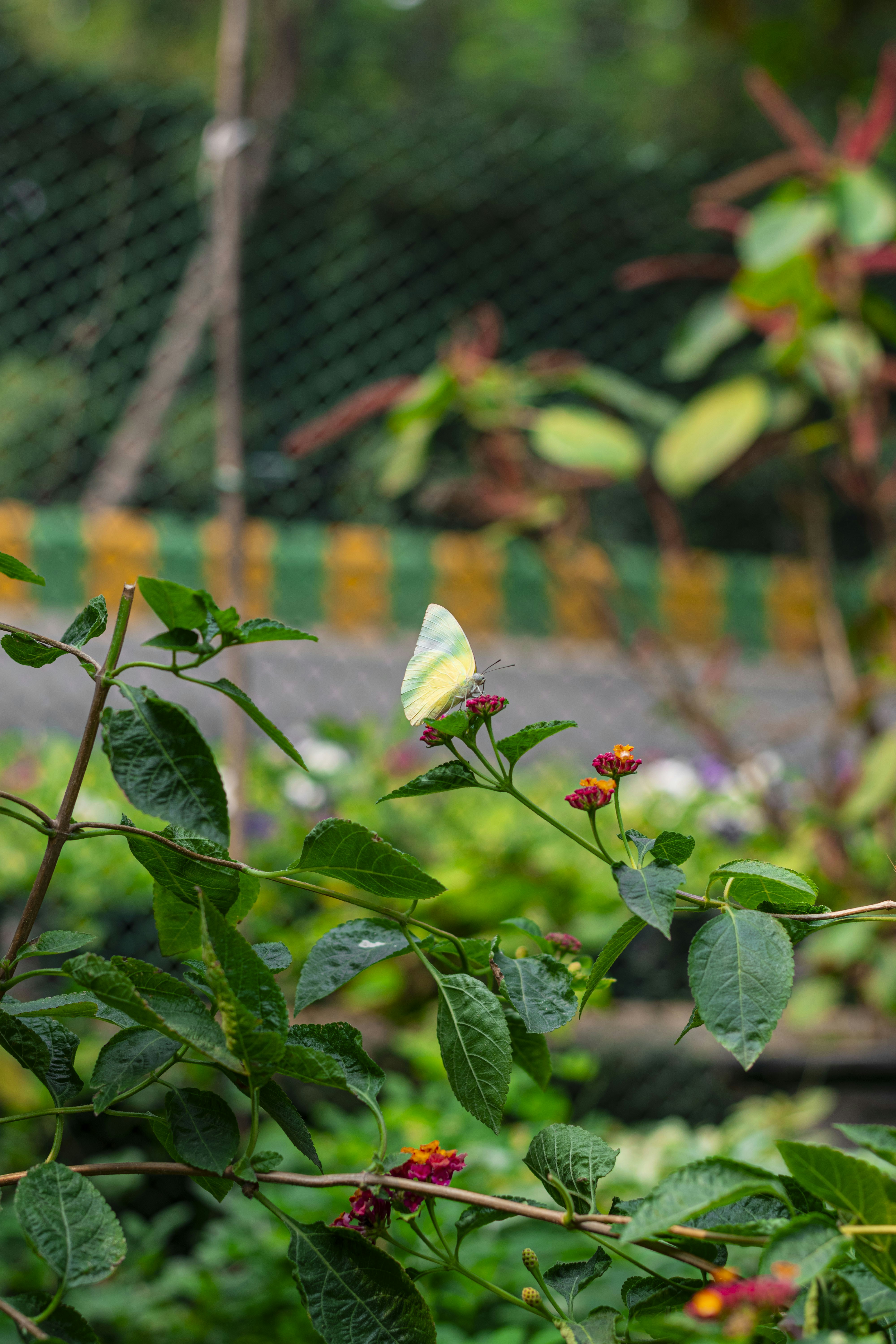 Photo by drofficial_96