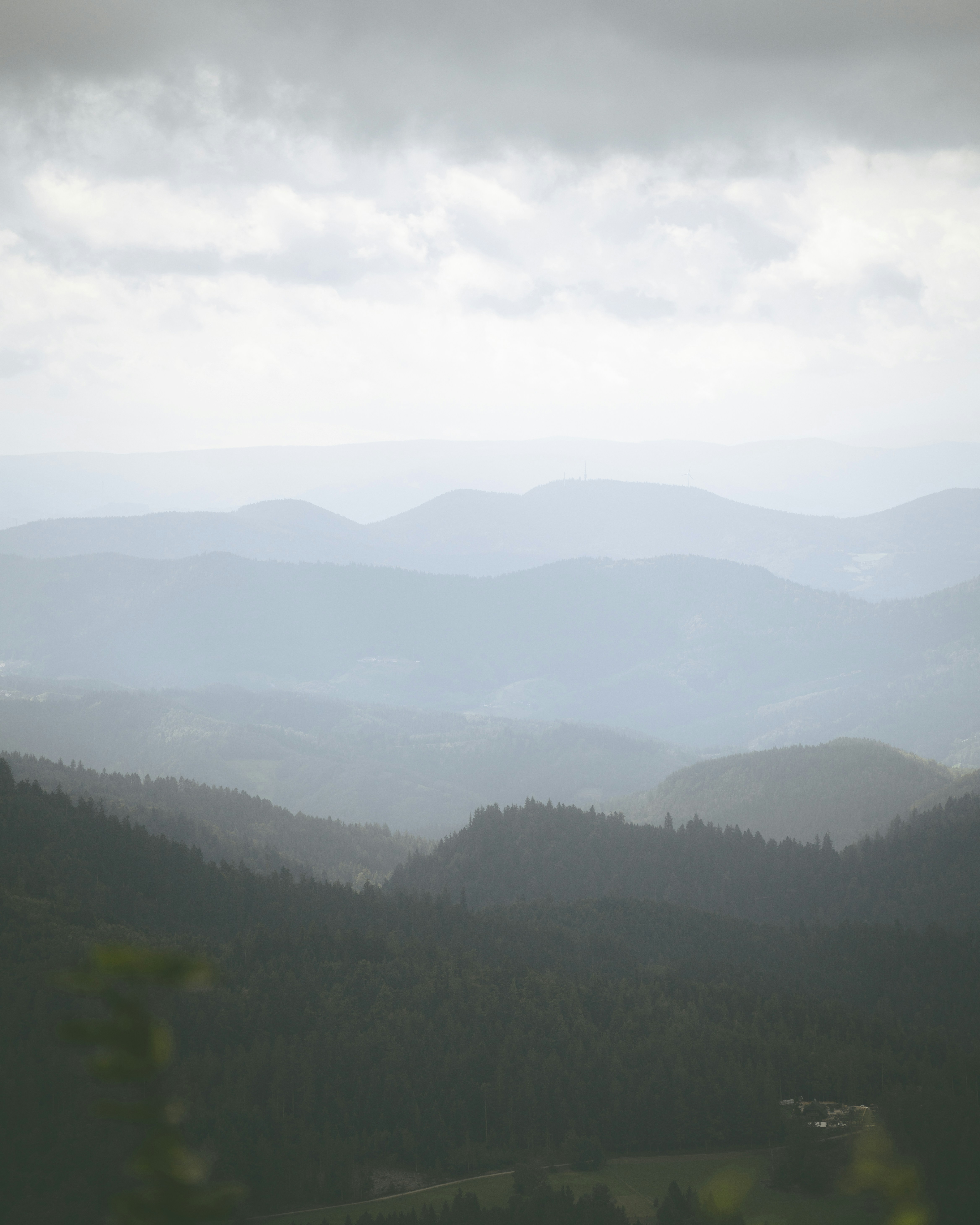 Photo by viklukphotography