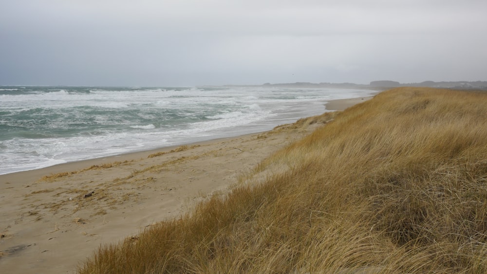 a sandy beach next to the ocean on a cloudy day