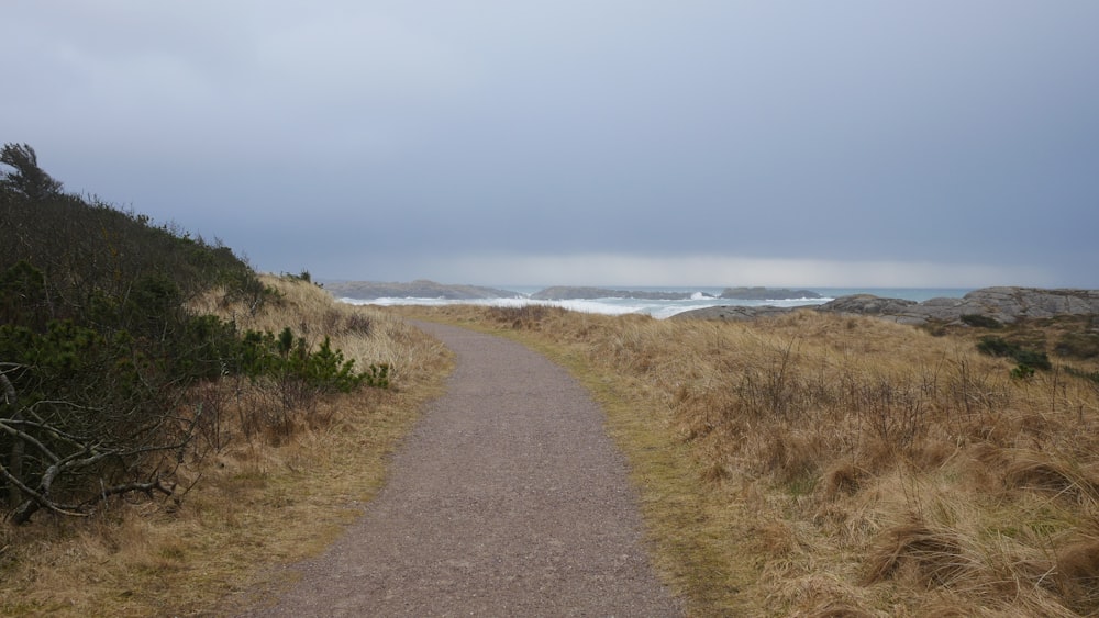 a path leading to the ocean on a cloudy day