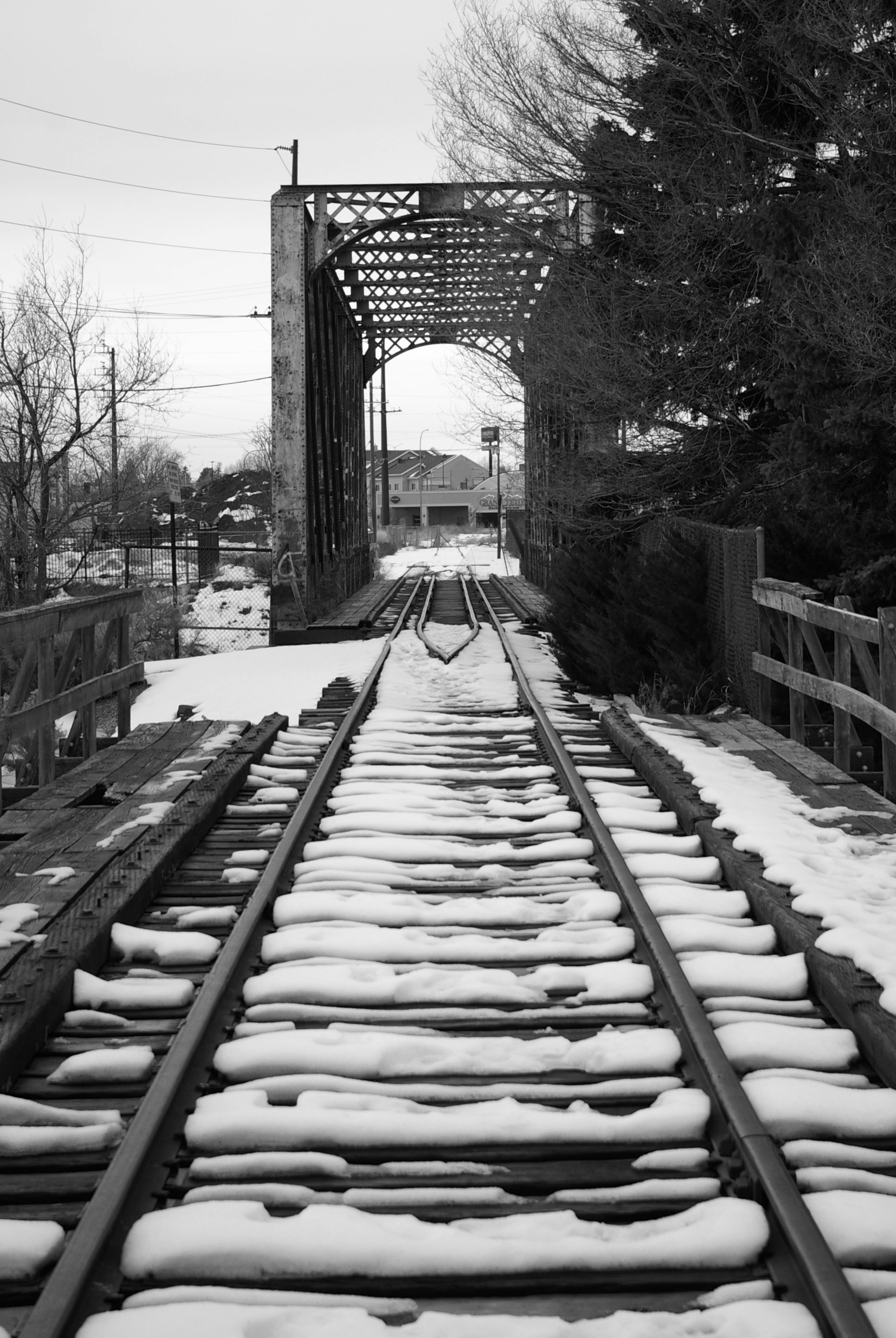 Photo by i_am_not_a_robot