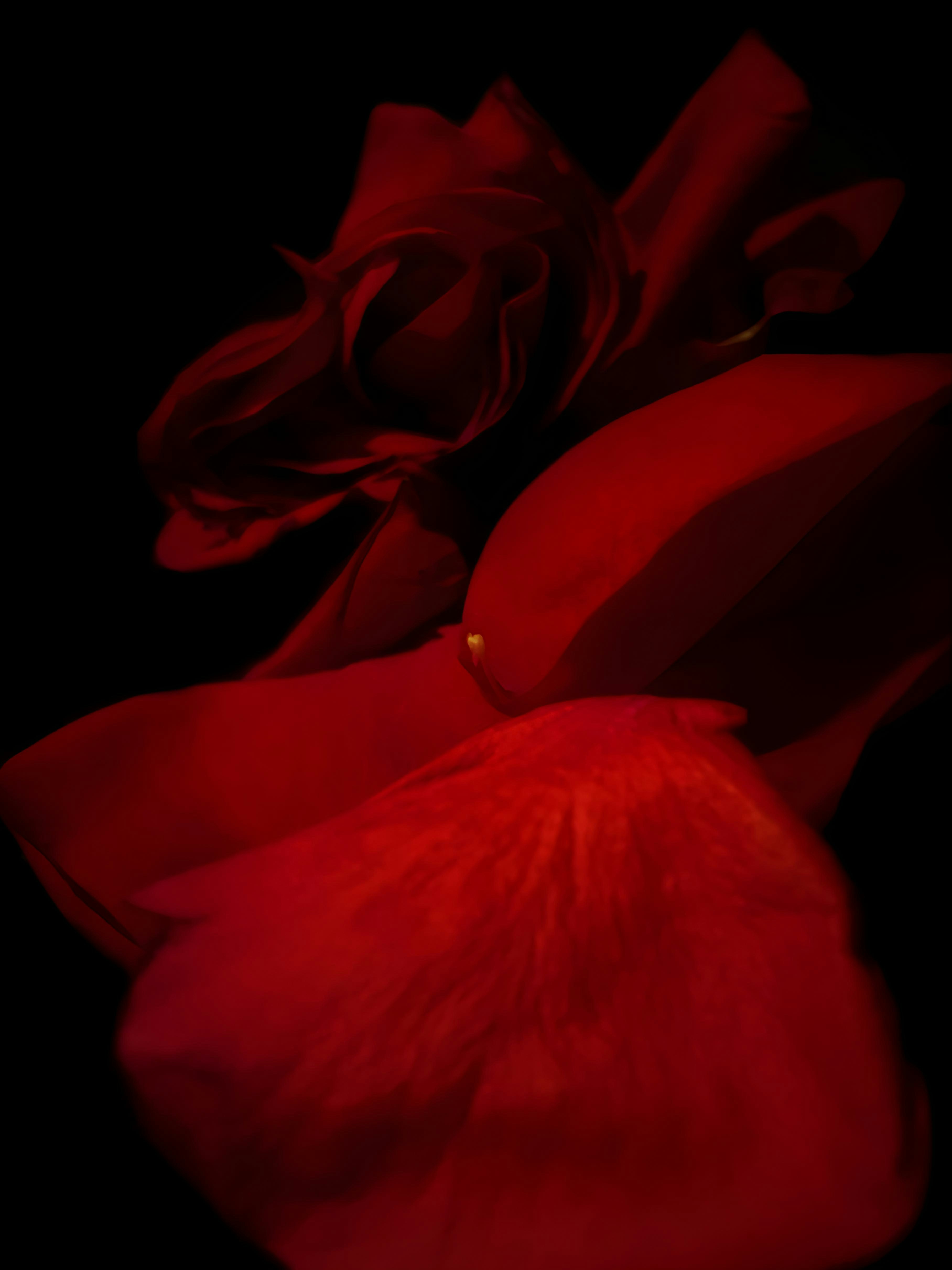 Photo by beutifulnature