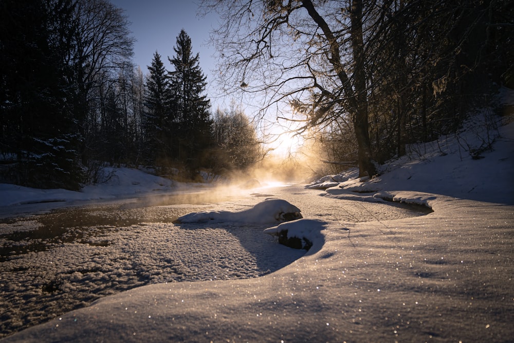 the sun shines through the trees on a snowy day