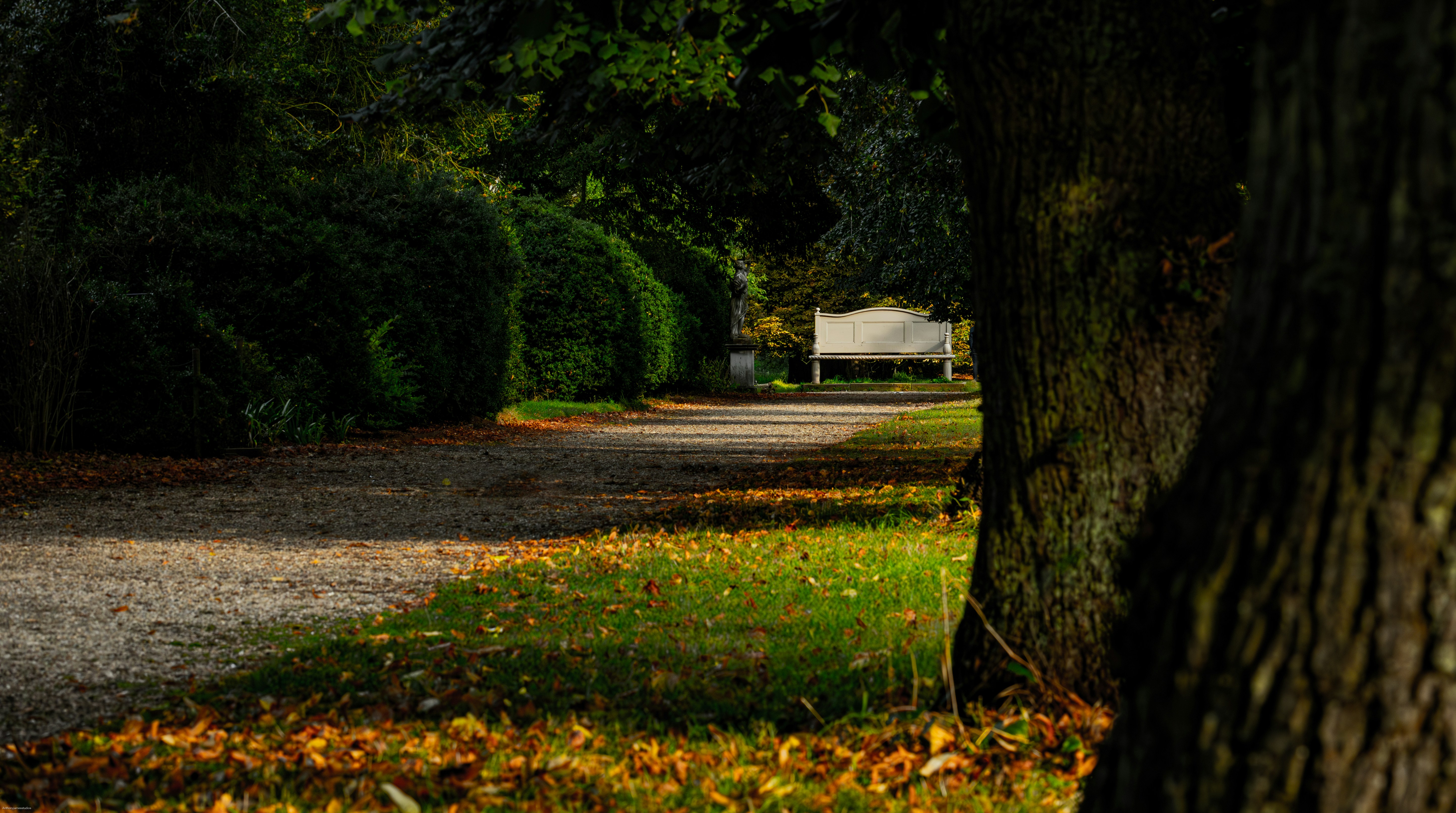 Photo by anthonyjames_f8